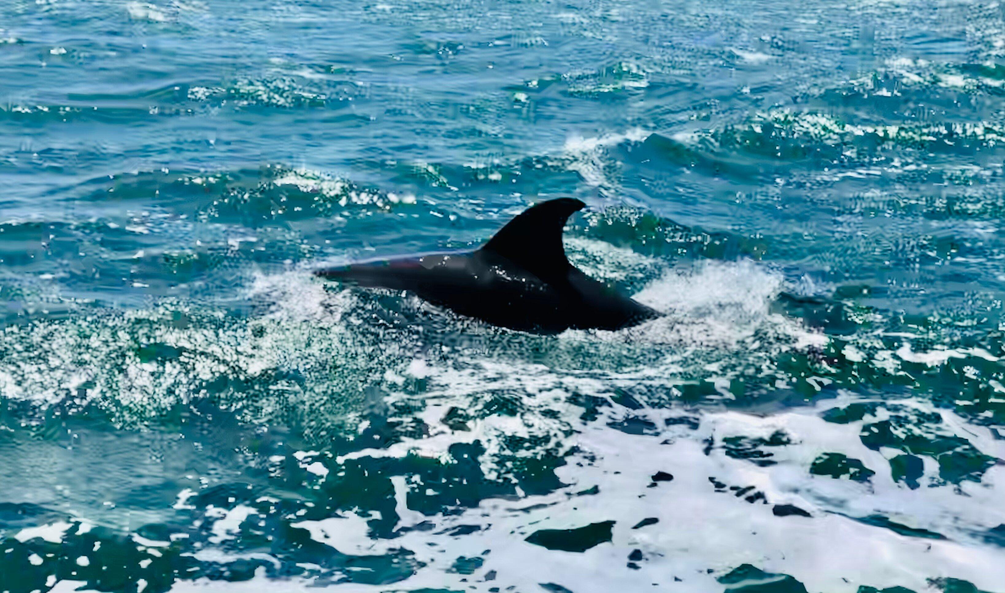 Long Jetty Prom Cruises