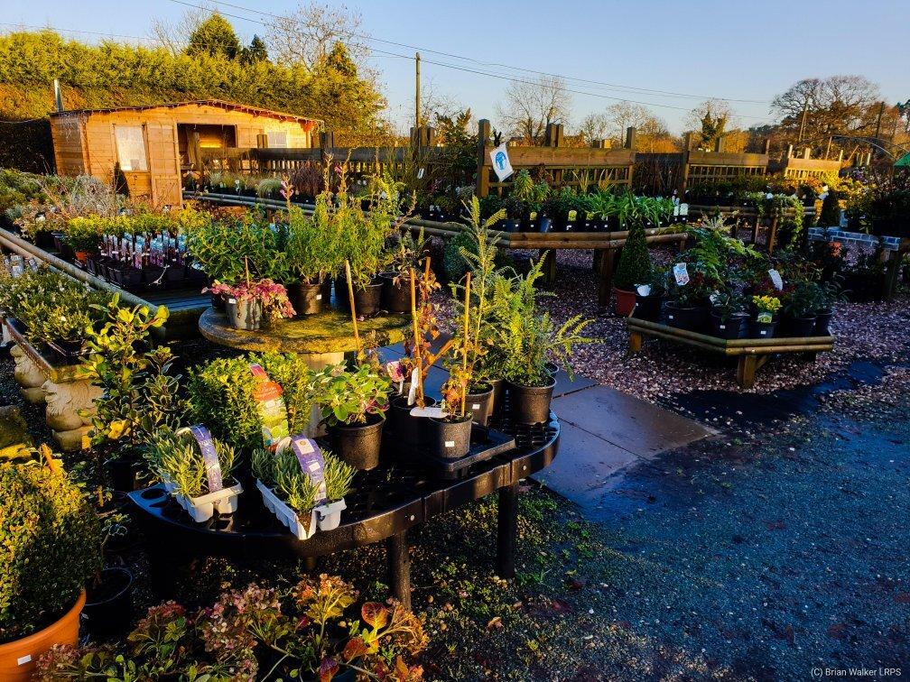 Woodhouse Green Nurseries