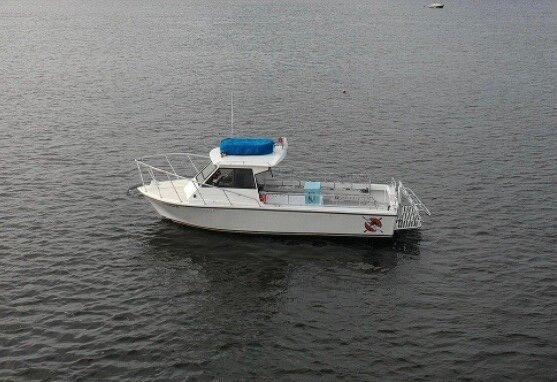 Reel Diversion Charters