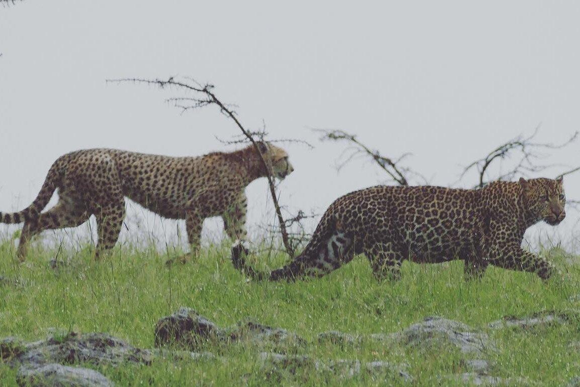 West Travel & Tours Ltd.