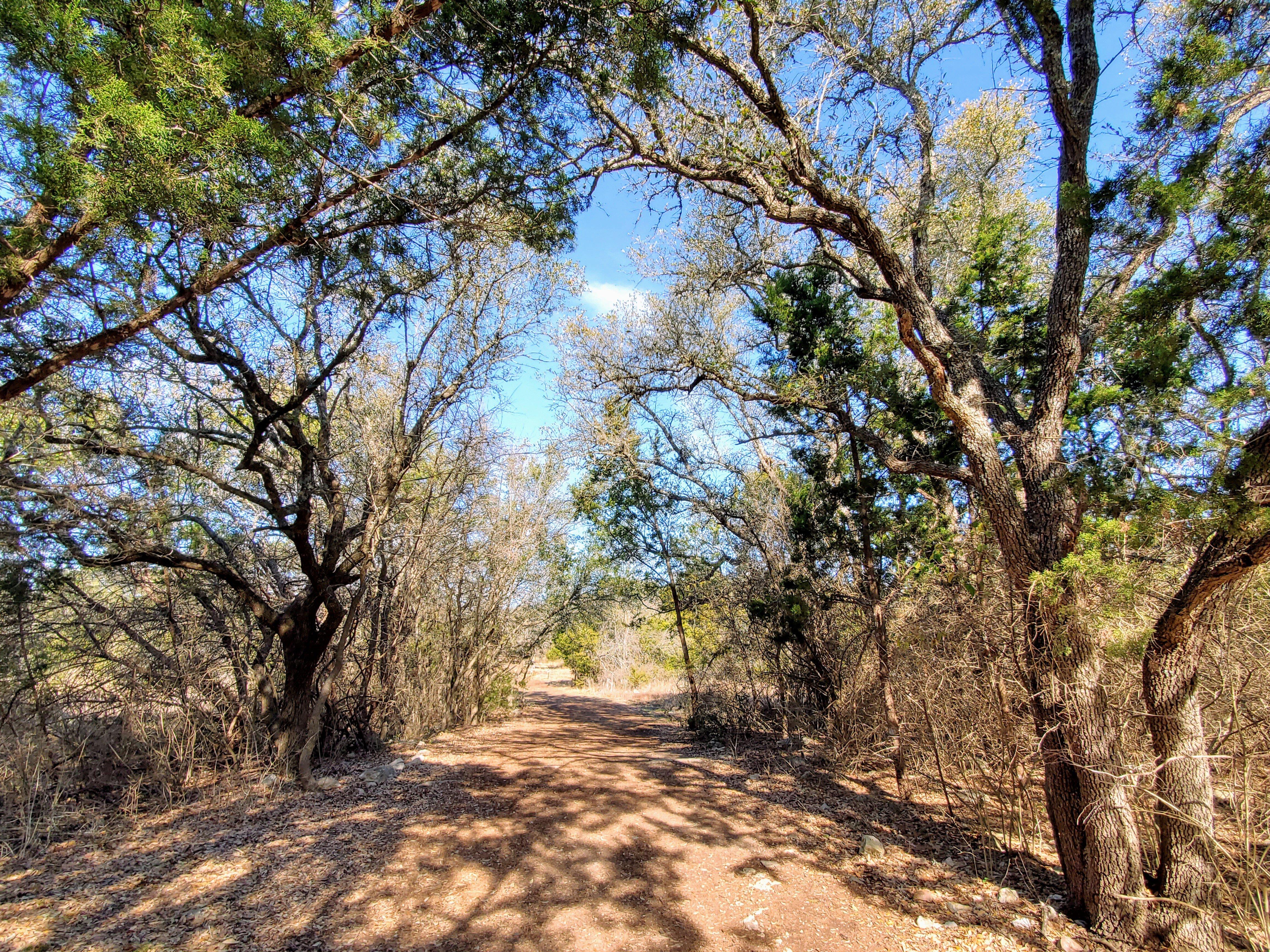 Photo by Inspire587709