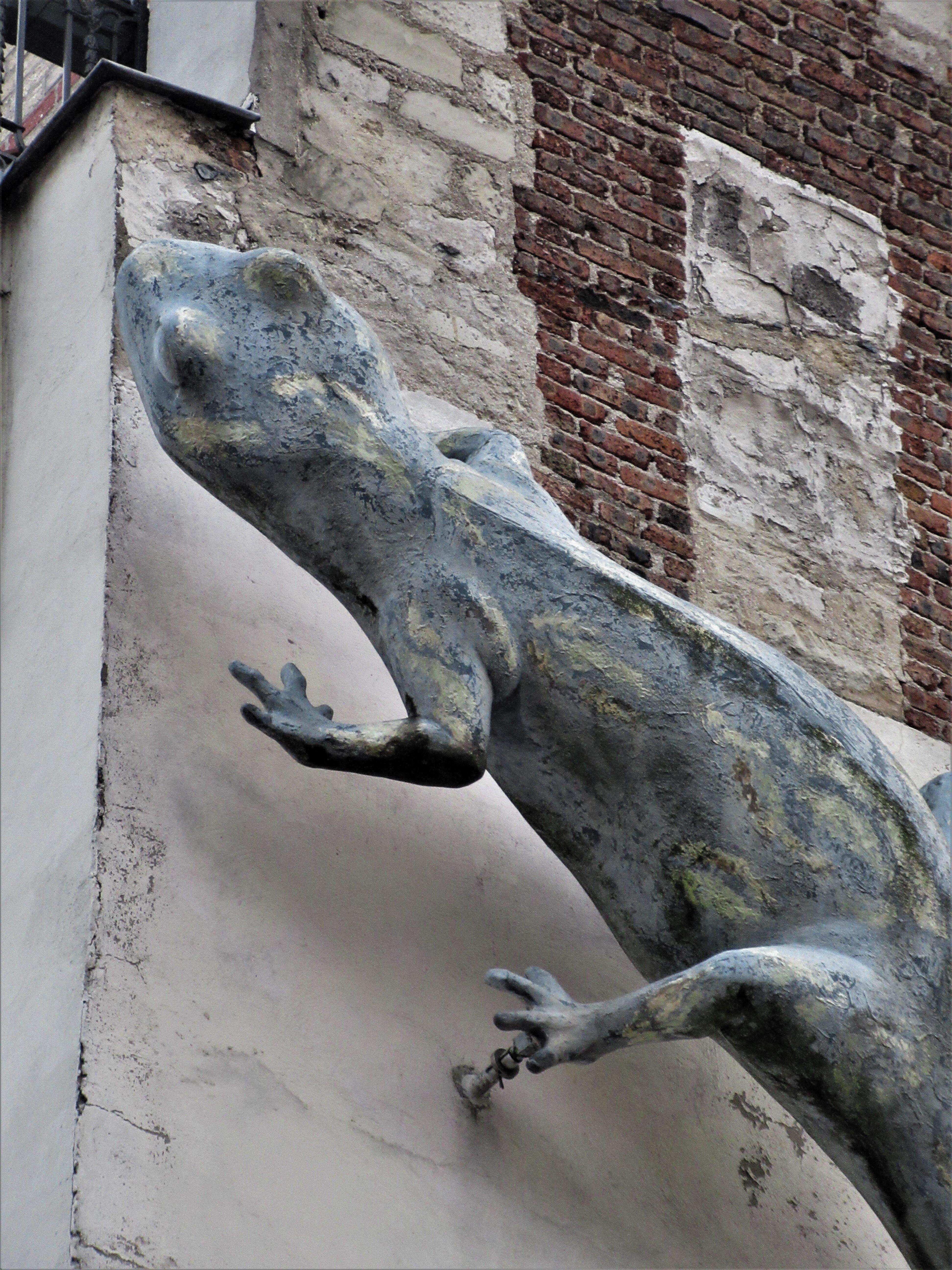 La salamandre de la rue Vitruve