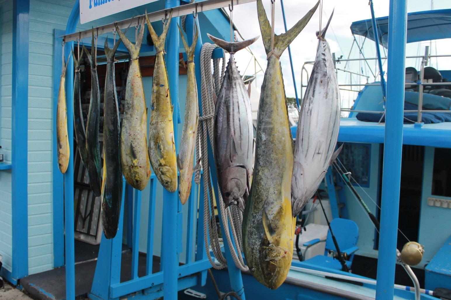 Deep Sea Florida Fishing Charters