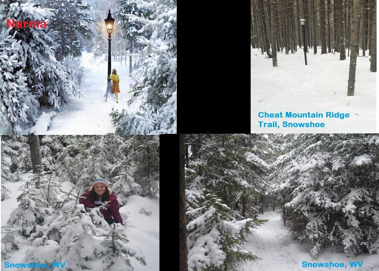 Cheat Mountain Ridge Natural Trail