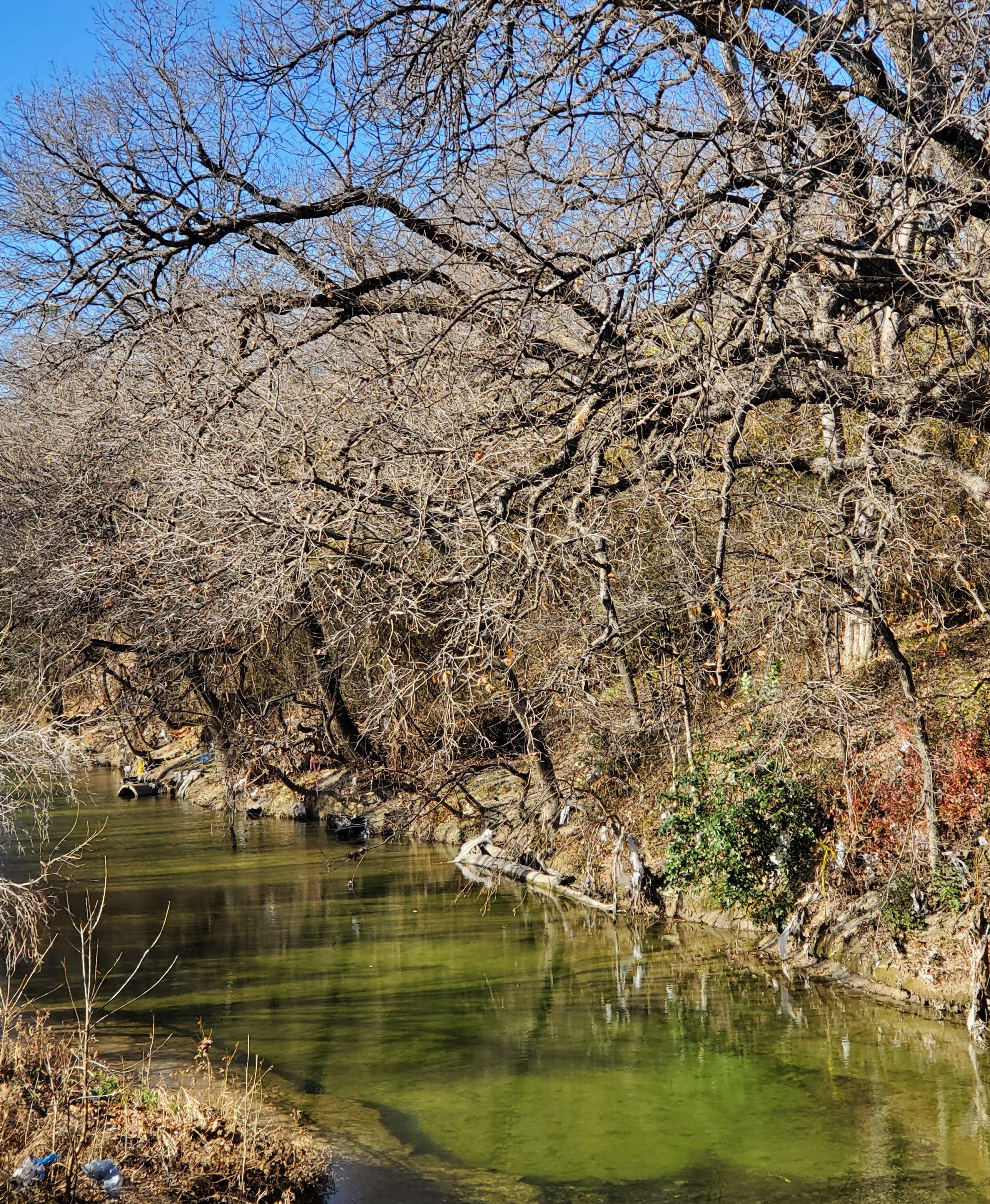 Spring Creek Forest Preserve