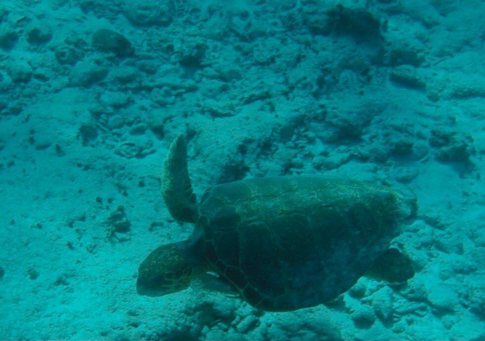 Photo by N7549RPjamesk