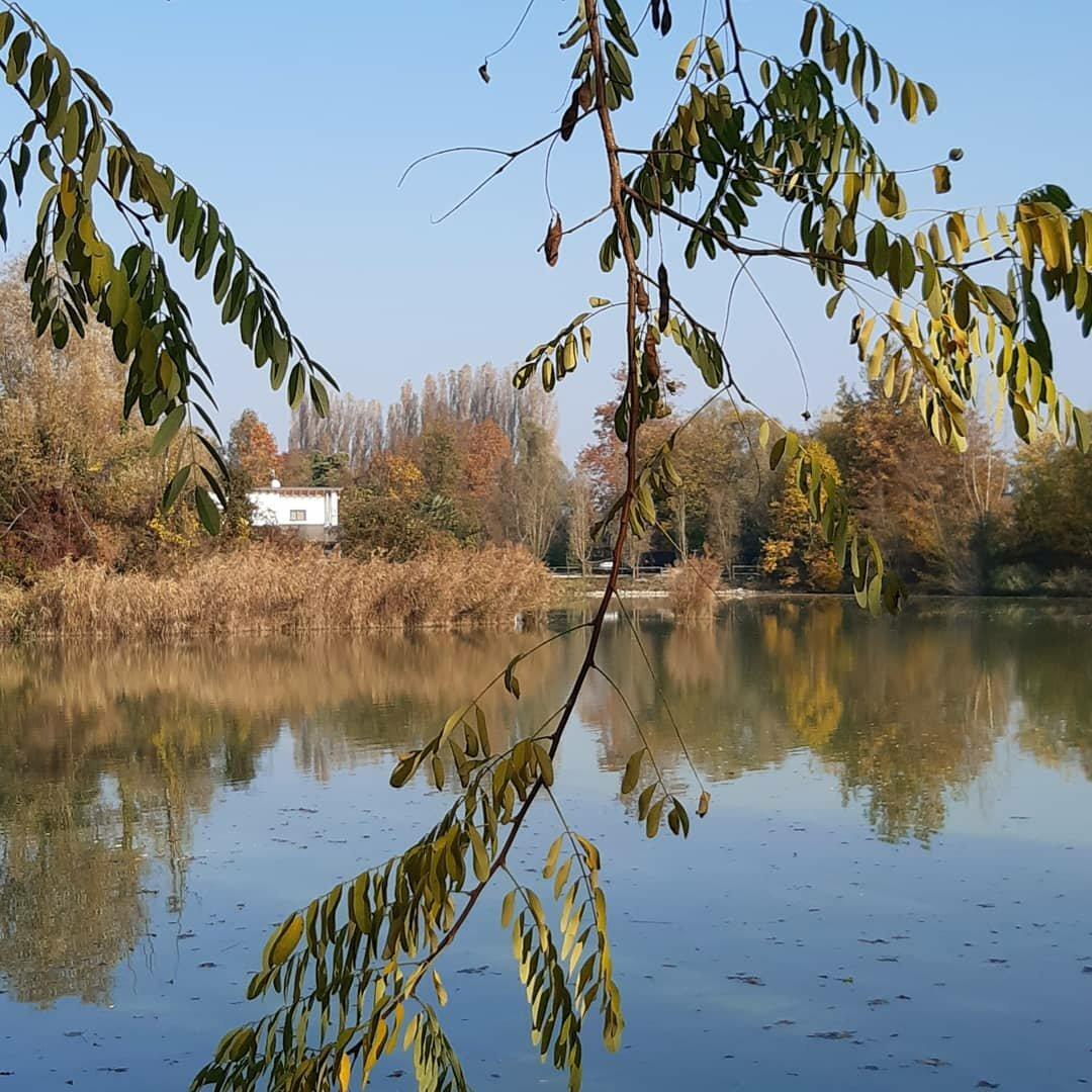 Ristorante Lago Al Boschetto Carpfishing