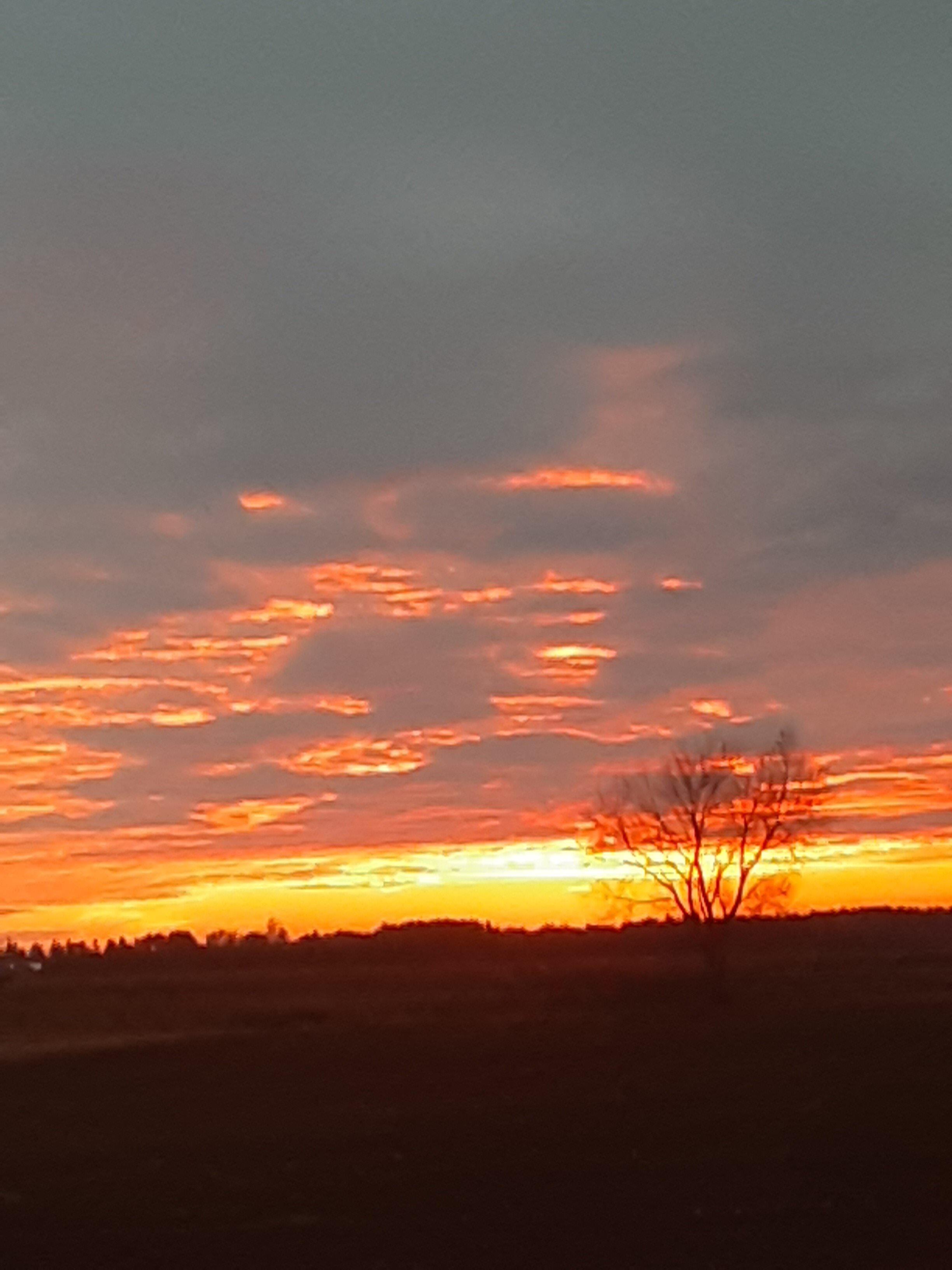 Photo by Andreamc333