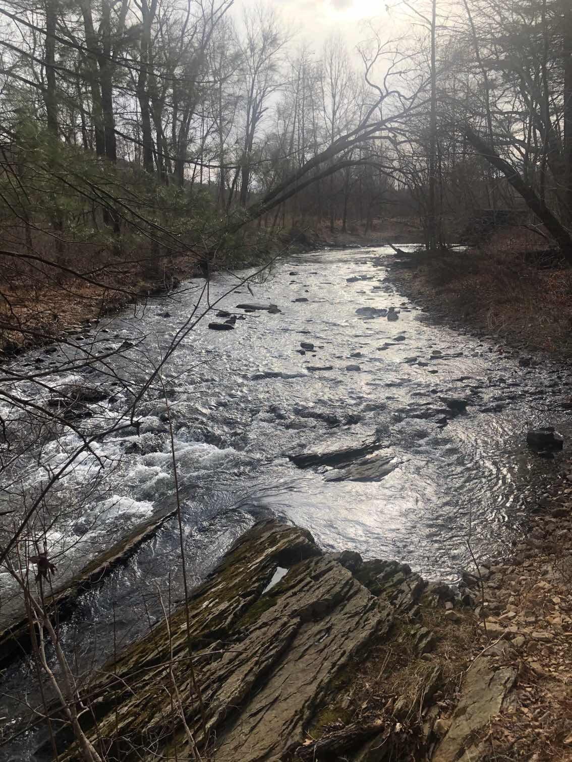 Mount Holly Marsh Preserve
