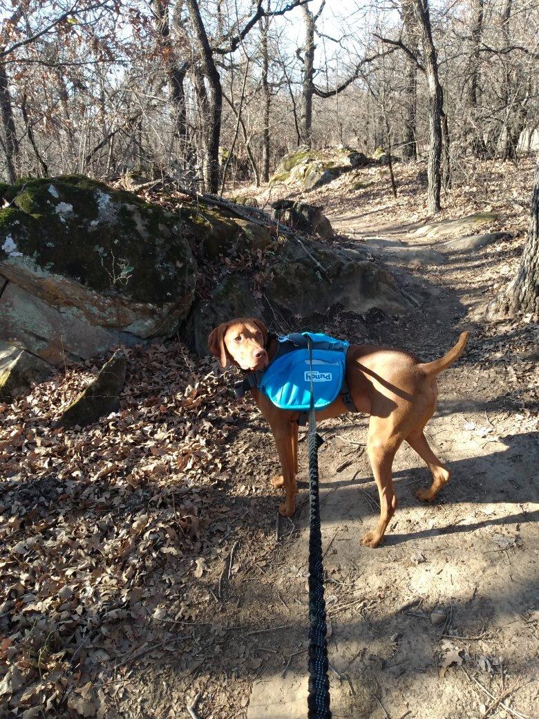 Endeavor Bridgeport Adventure Park