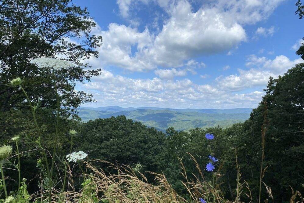 Enchanted Nature Tours inc.