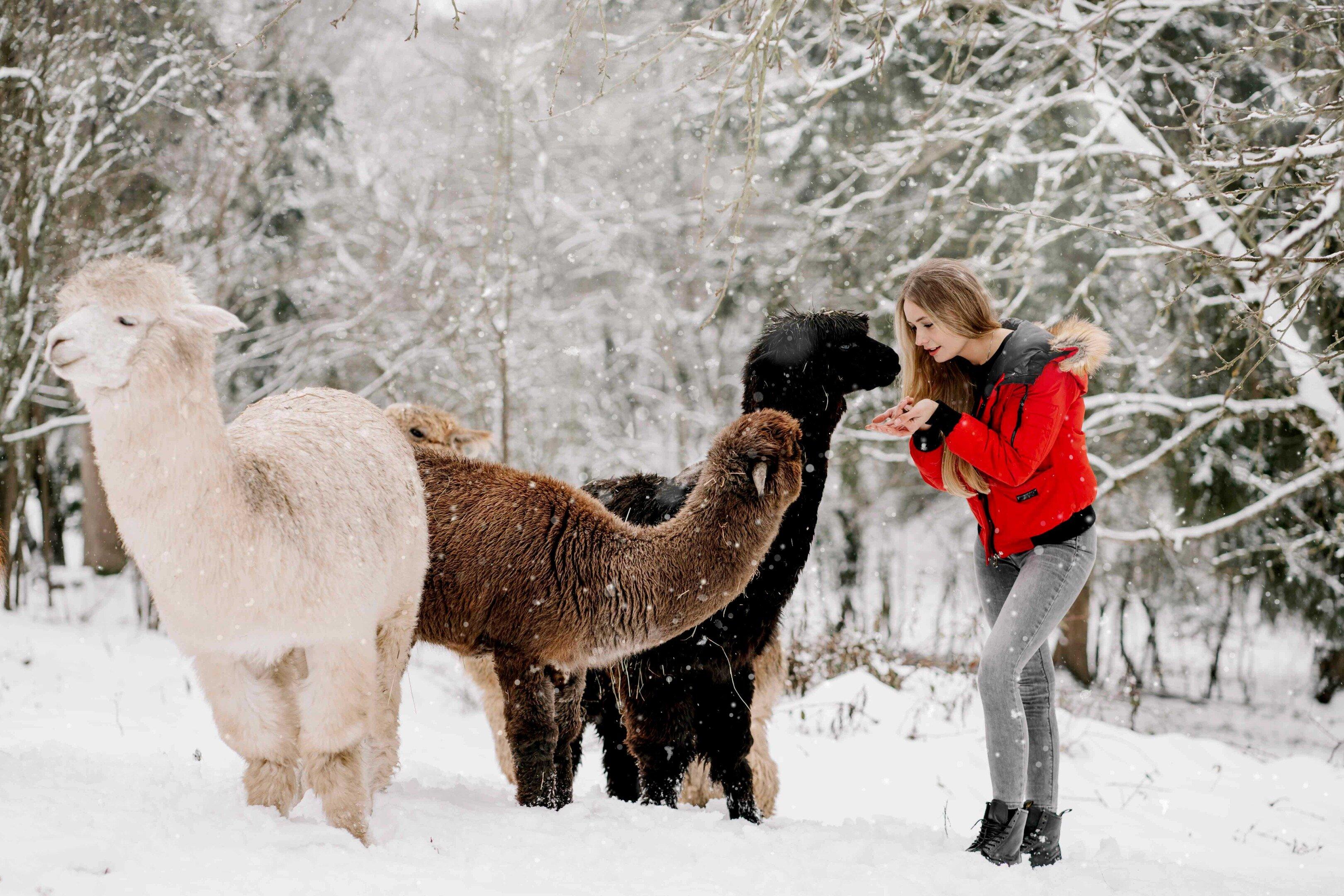 Fotograf Heidelberg Hochzeit