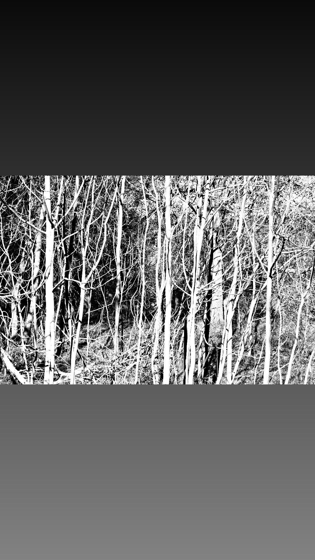 Photo by jimkT3841HO