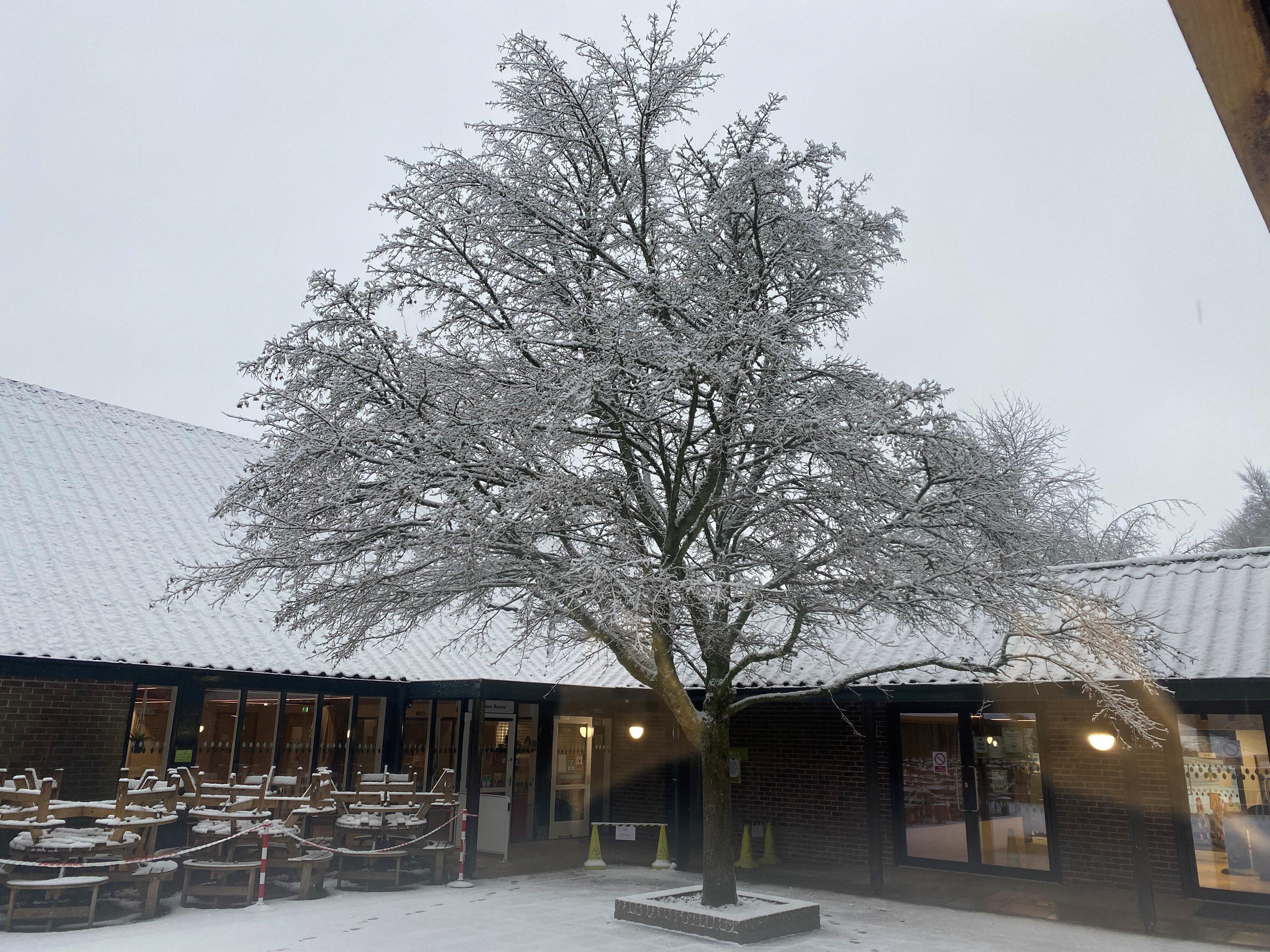 Beechwood Kitchen & Kiosks