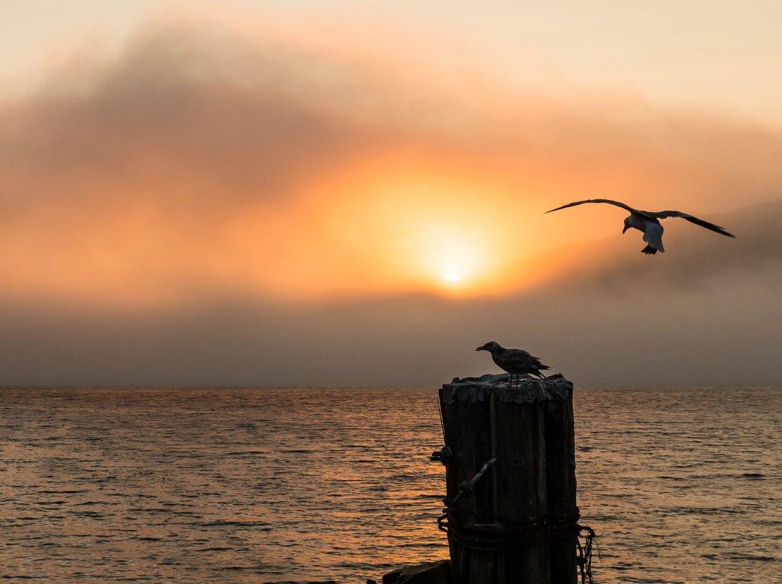 SEAWIND Fishing Adventures