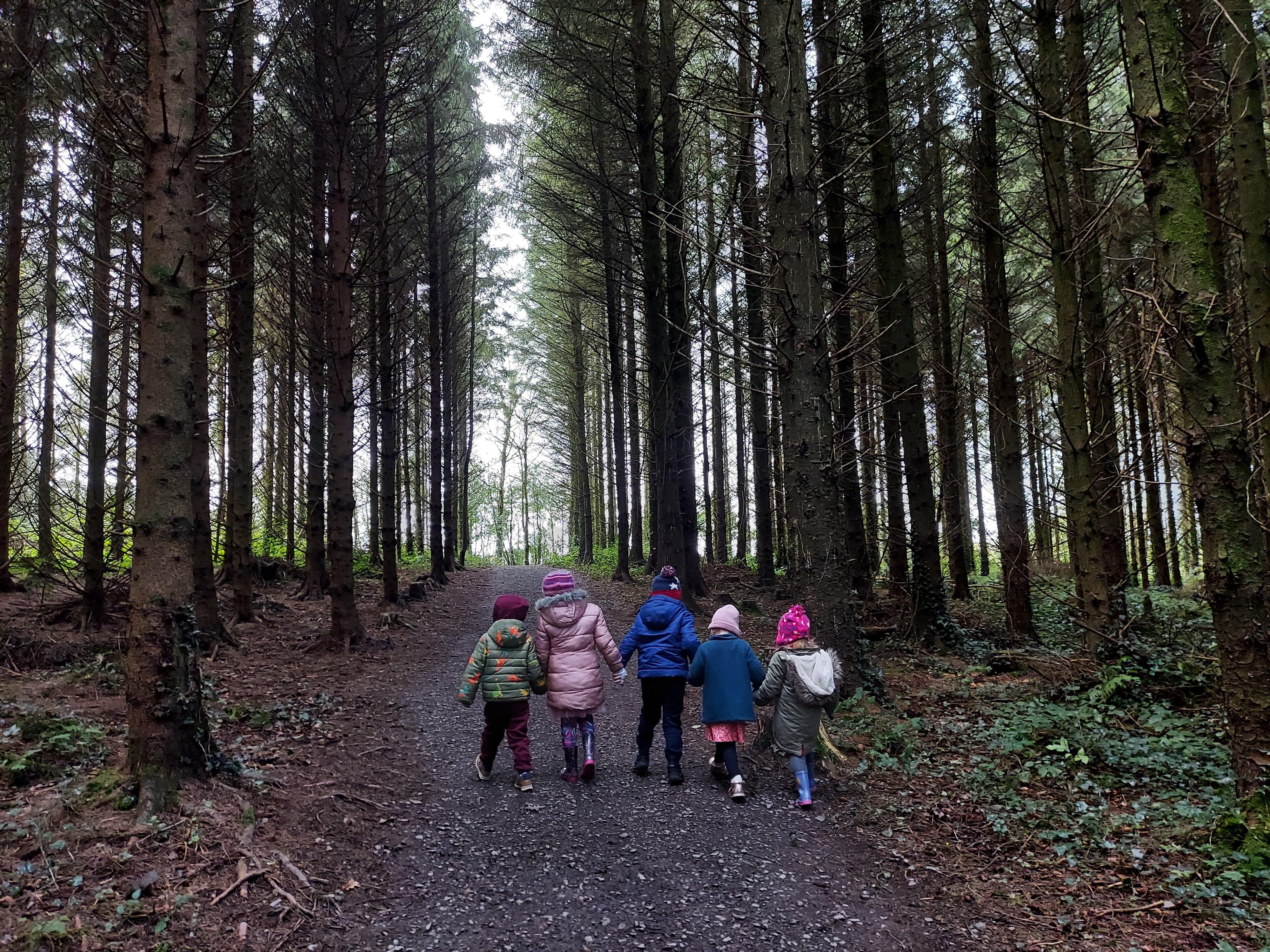 Scragh Bog Trail Head