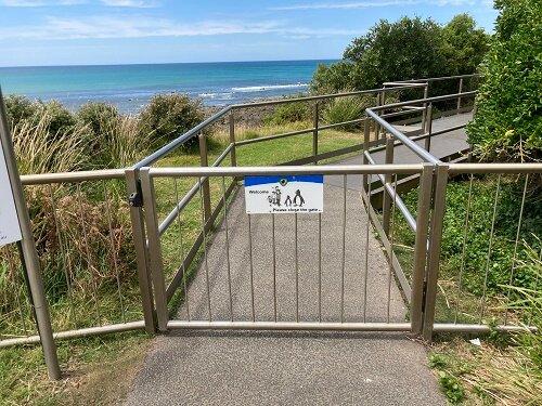 Godfrey’s Beach Penguin Viewing