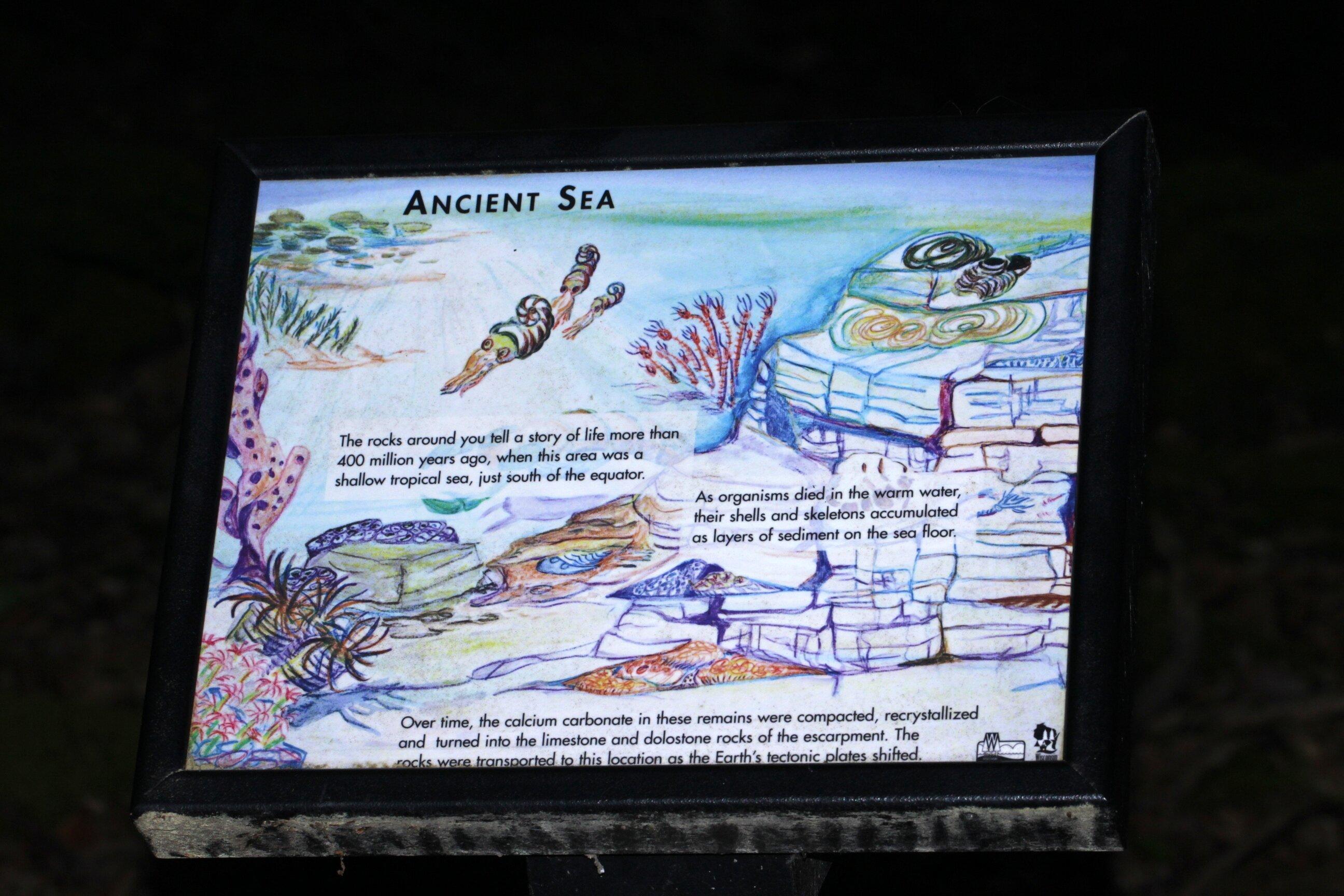 Photo by AndrewFromMadison