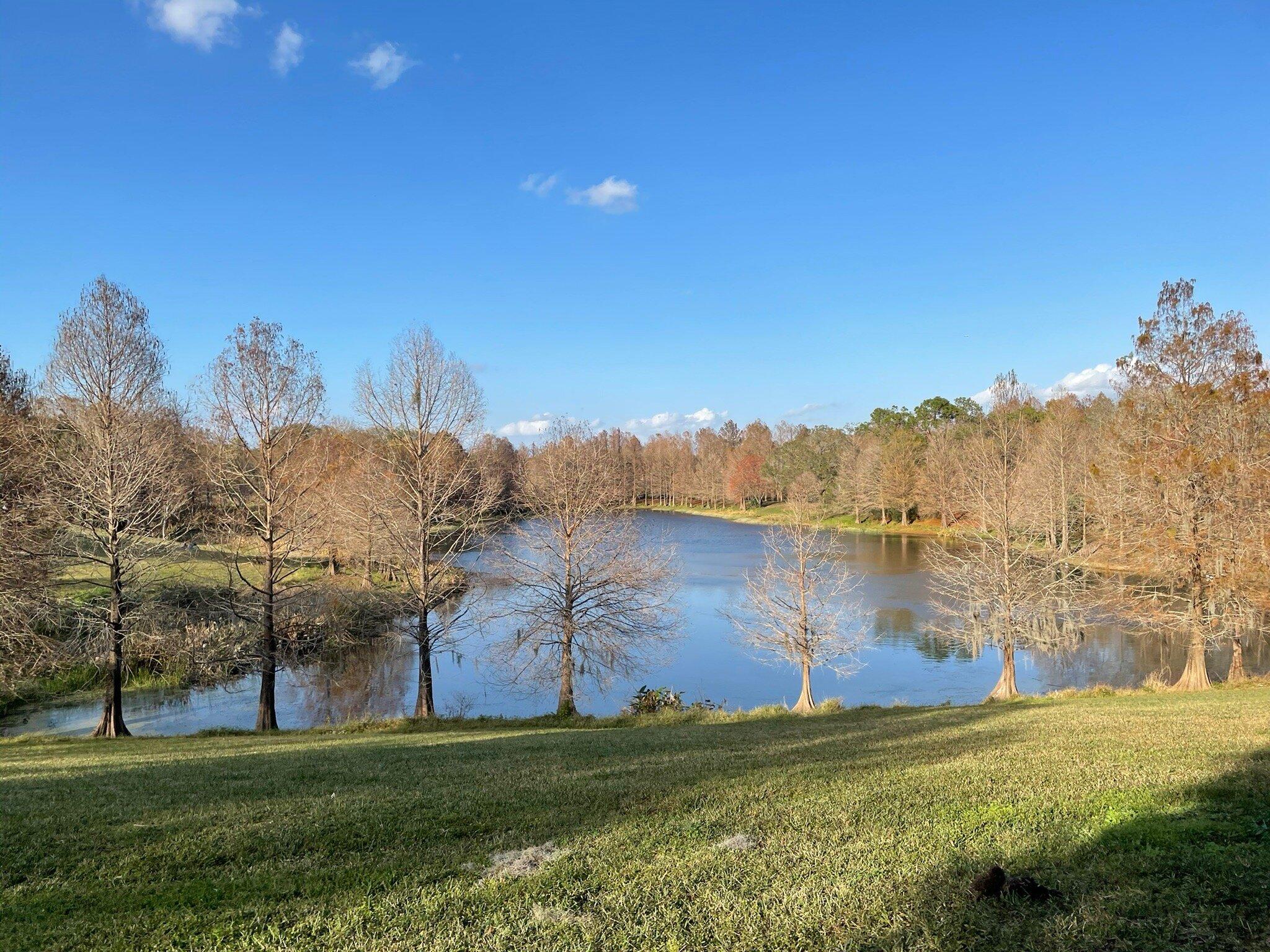 Greenwood Urban Wetlands