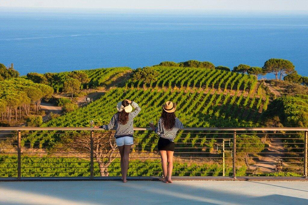 CANTINA Tenuta delle Ripalte