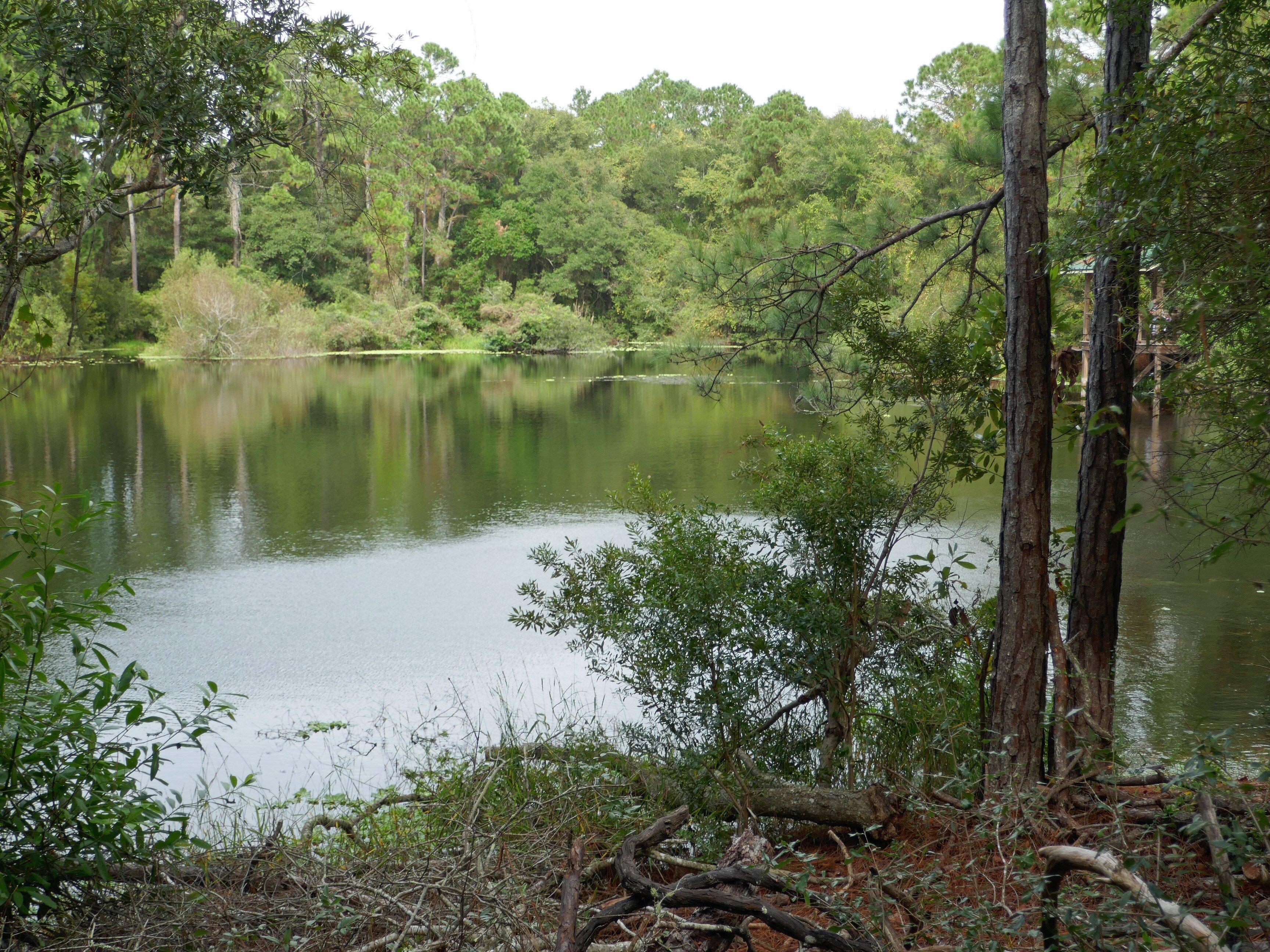 Photo by beachlovernc2015