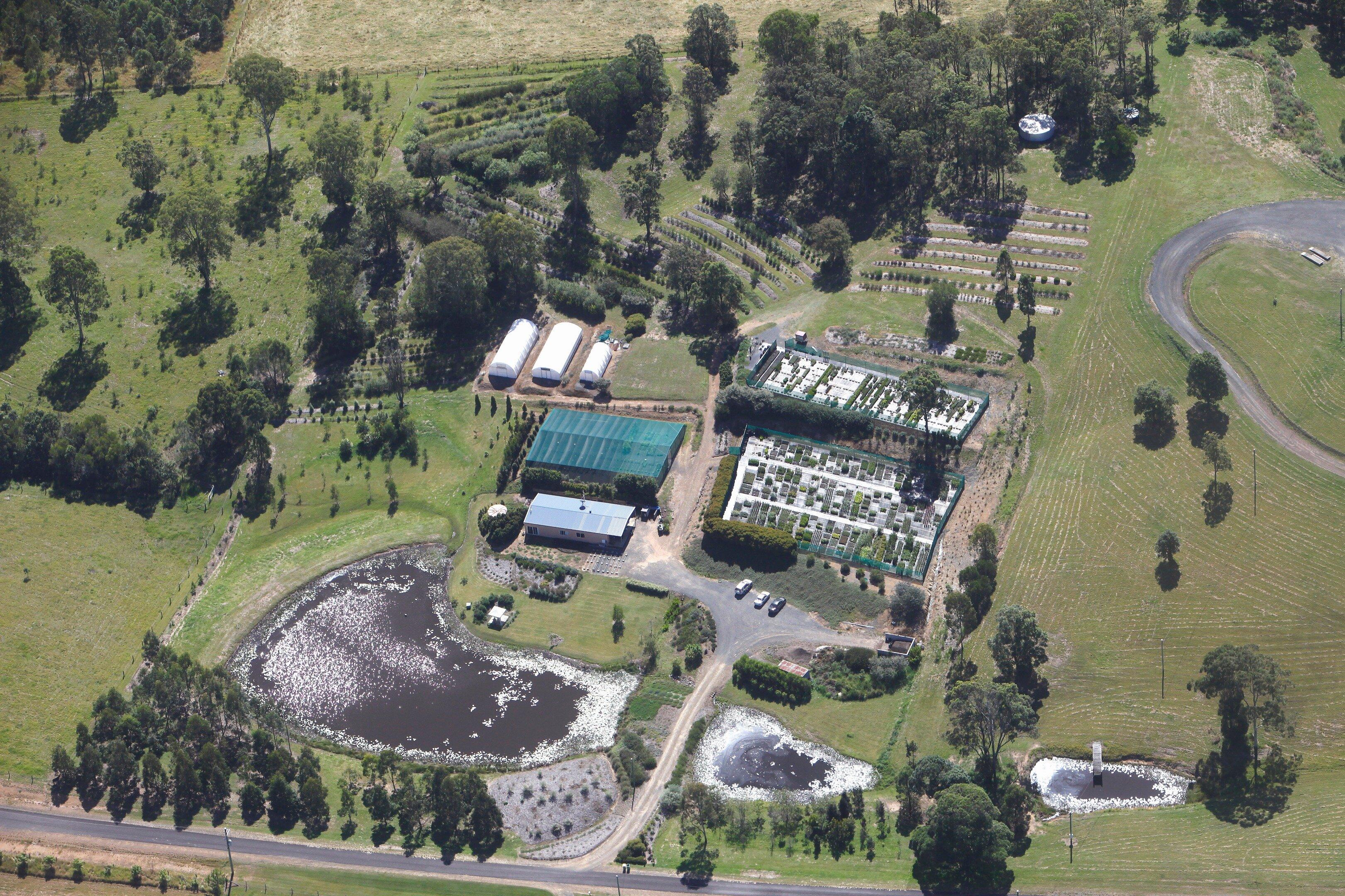 Natives 'R' Us Nursery