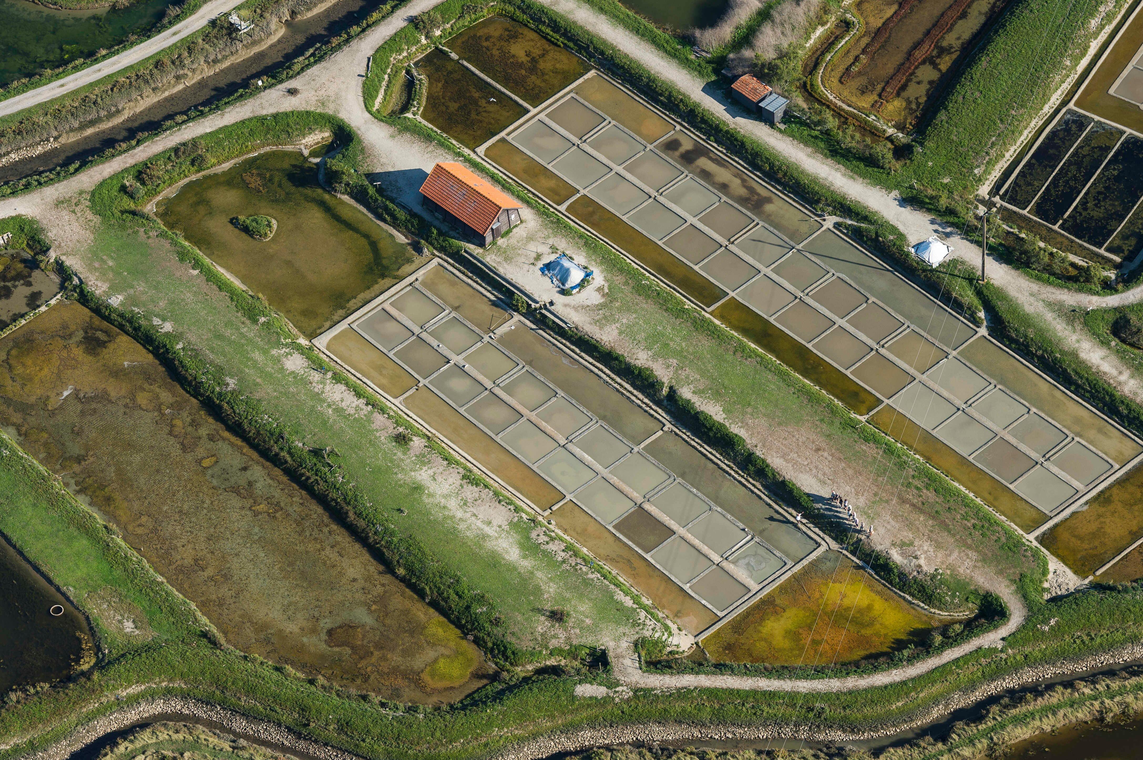 Les Marais Salants de la Vie