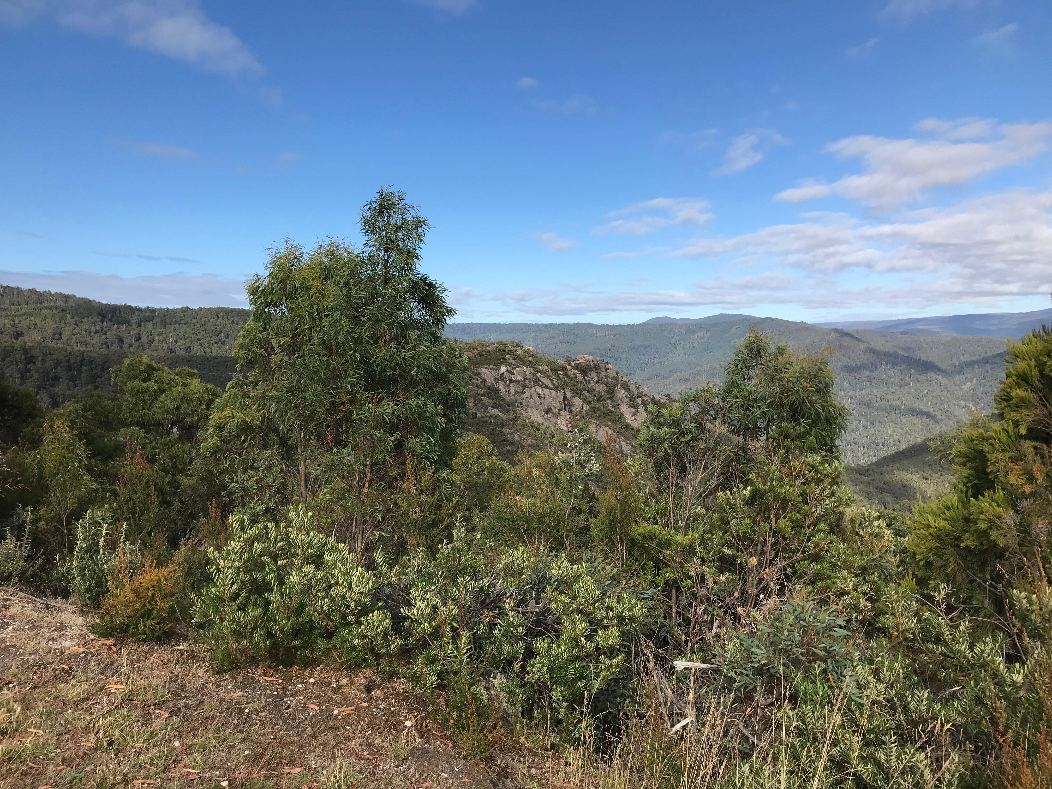 Round Mountain Lookout