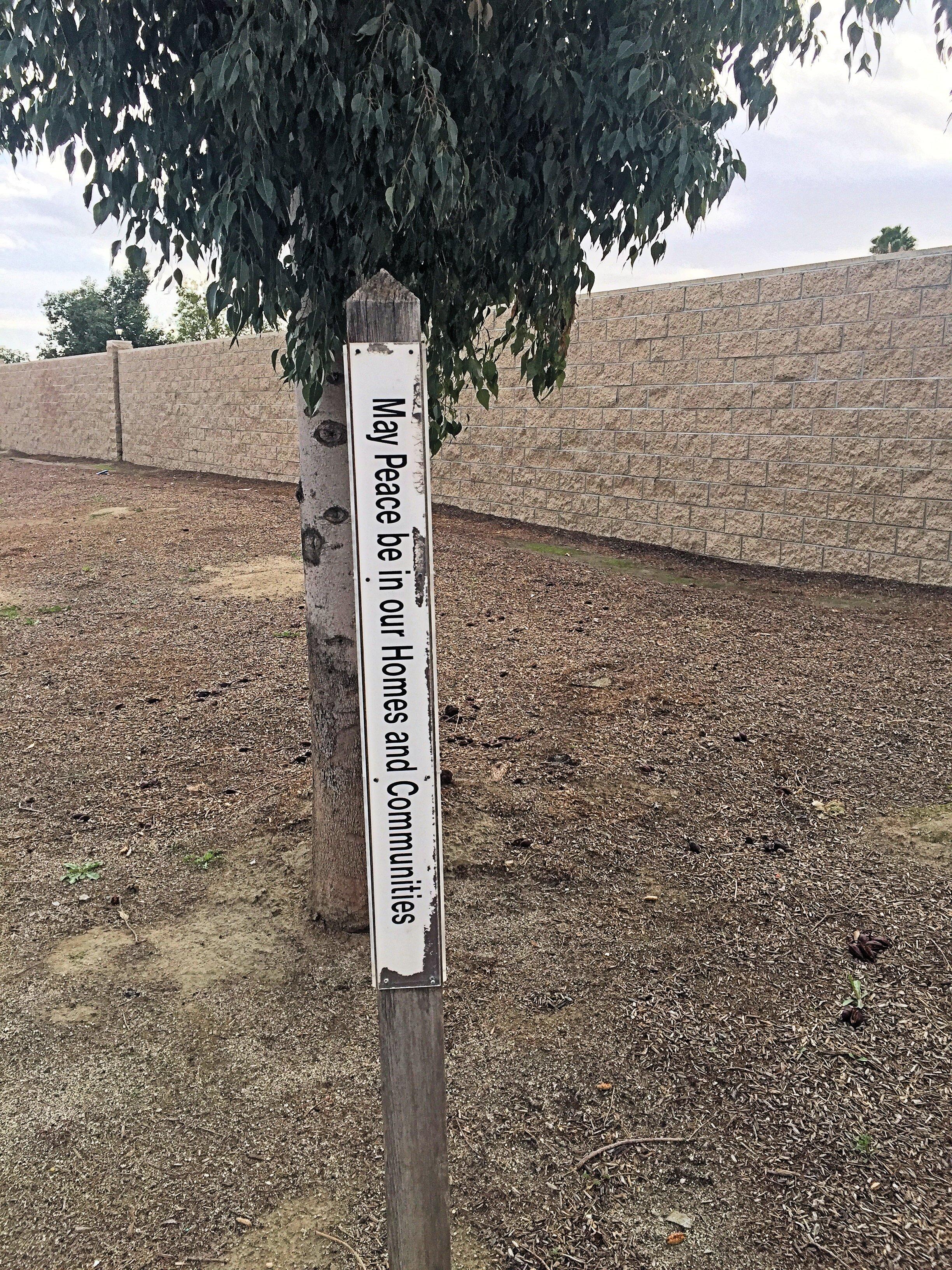 Photo by Perkadventures