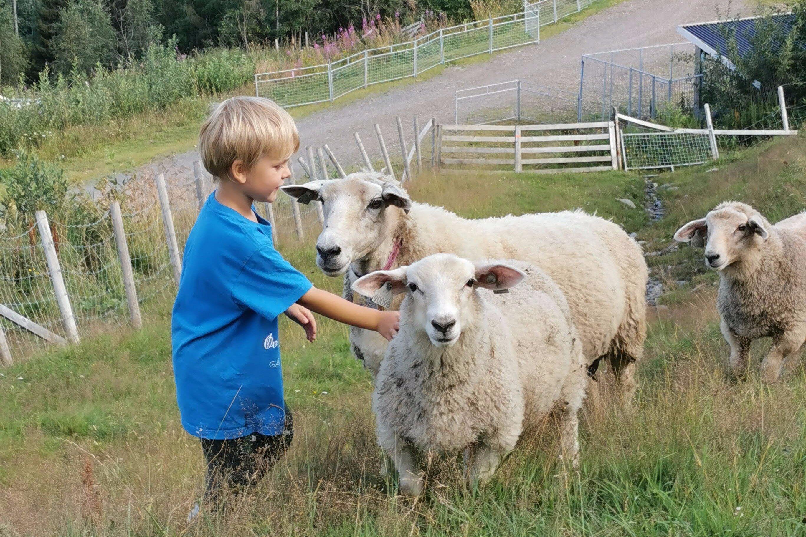 Øvre Rønningen Gård