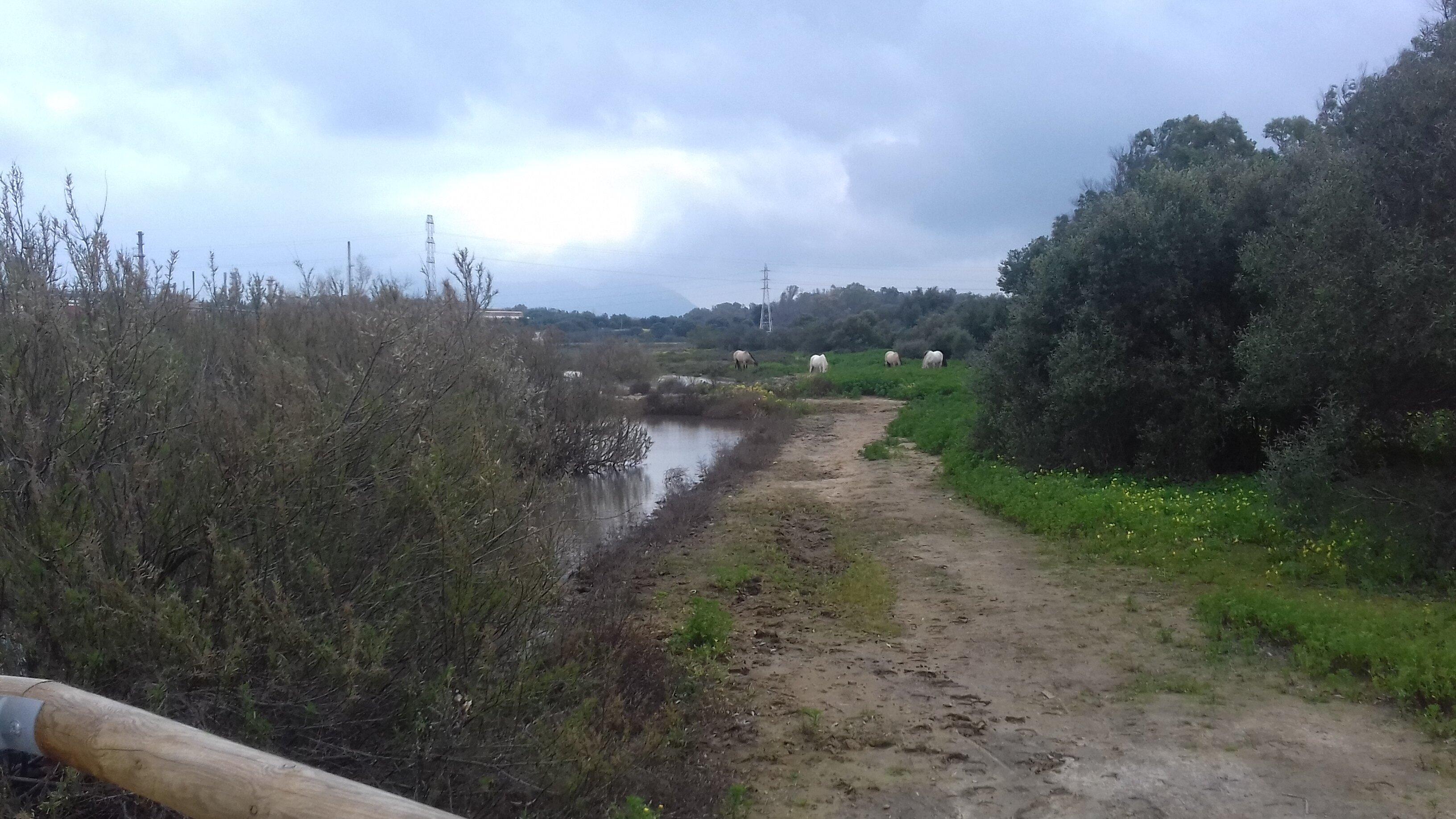 Sendero del Arroyo de la Madre Vieja