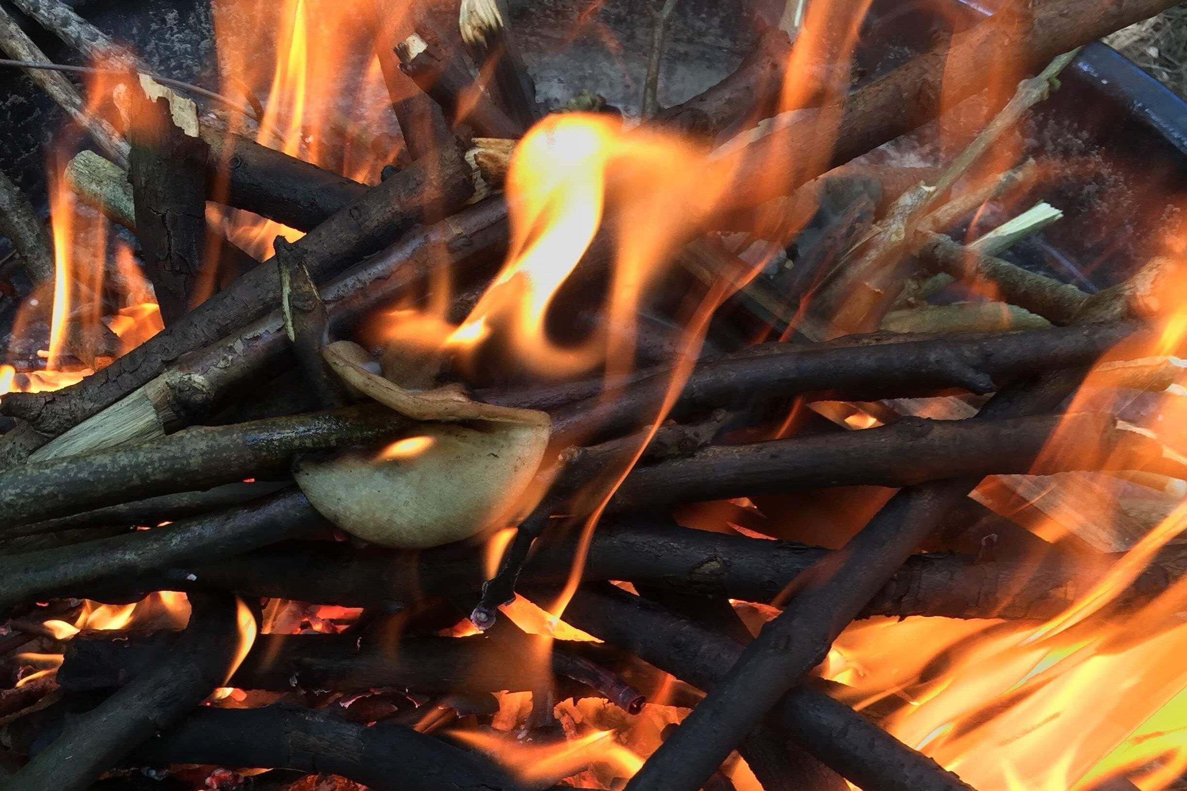 The feral yamyam bushcraft and survival school