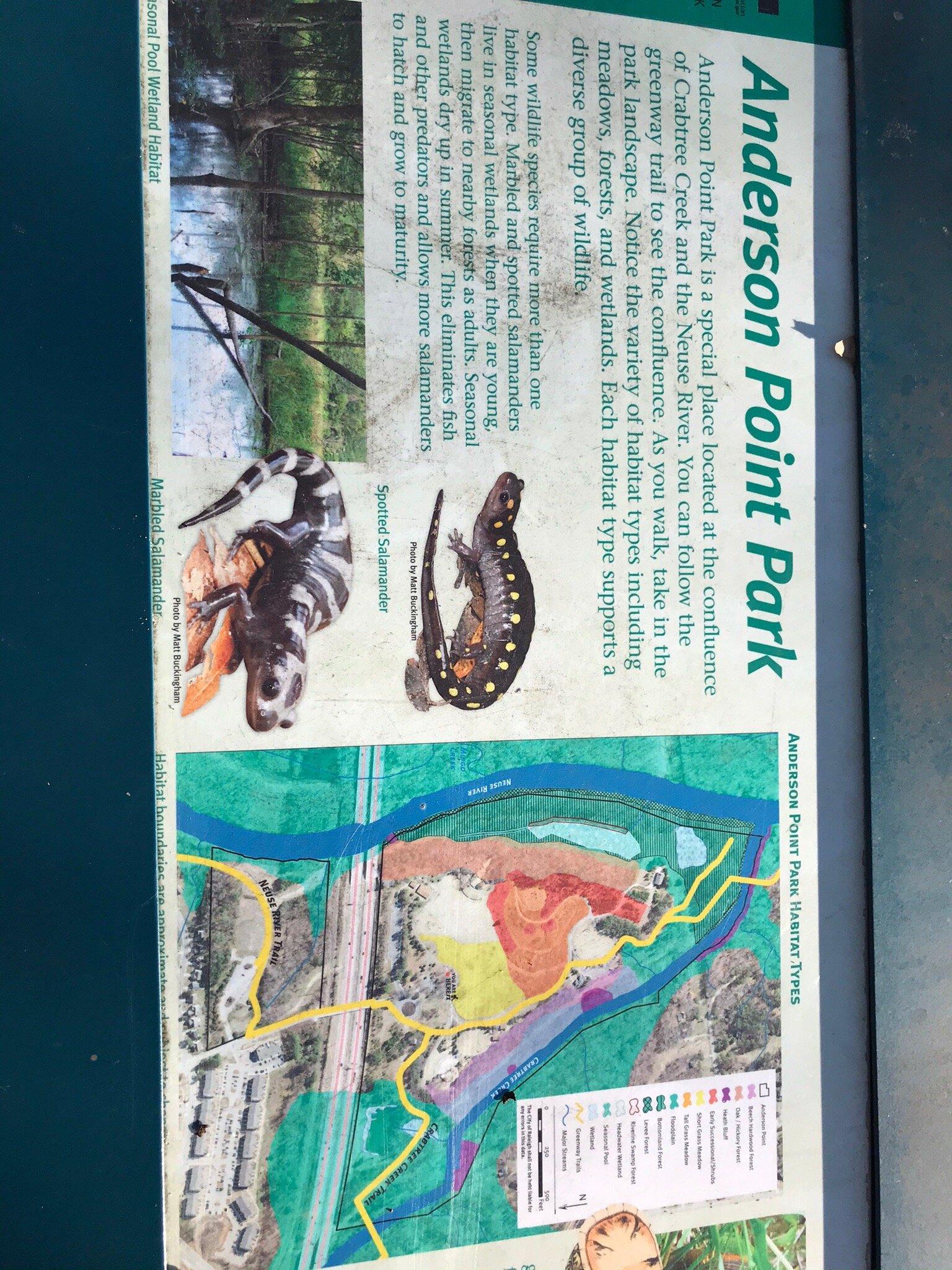 Photo by beachloverforever3