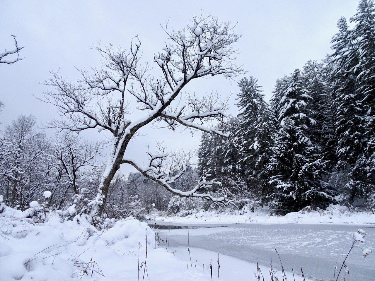 North Branch Nature Center