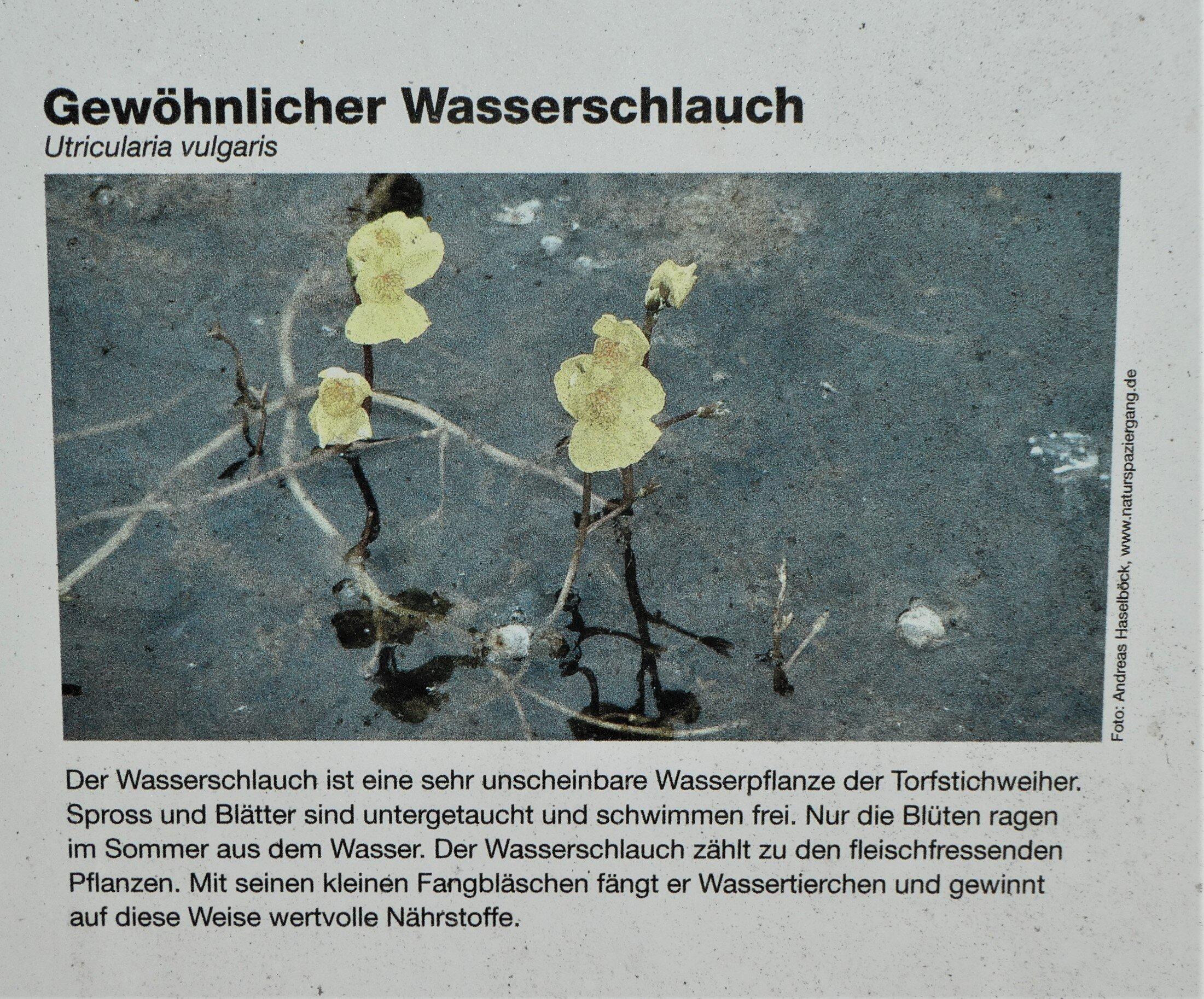 Weiherlandschaft Ostergau