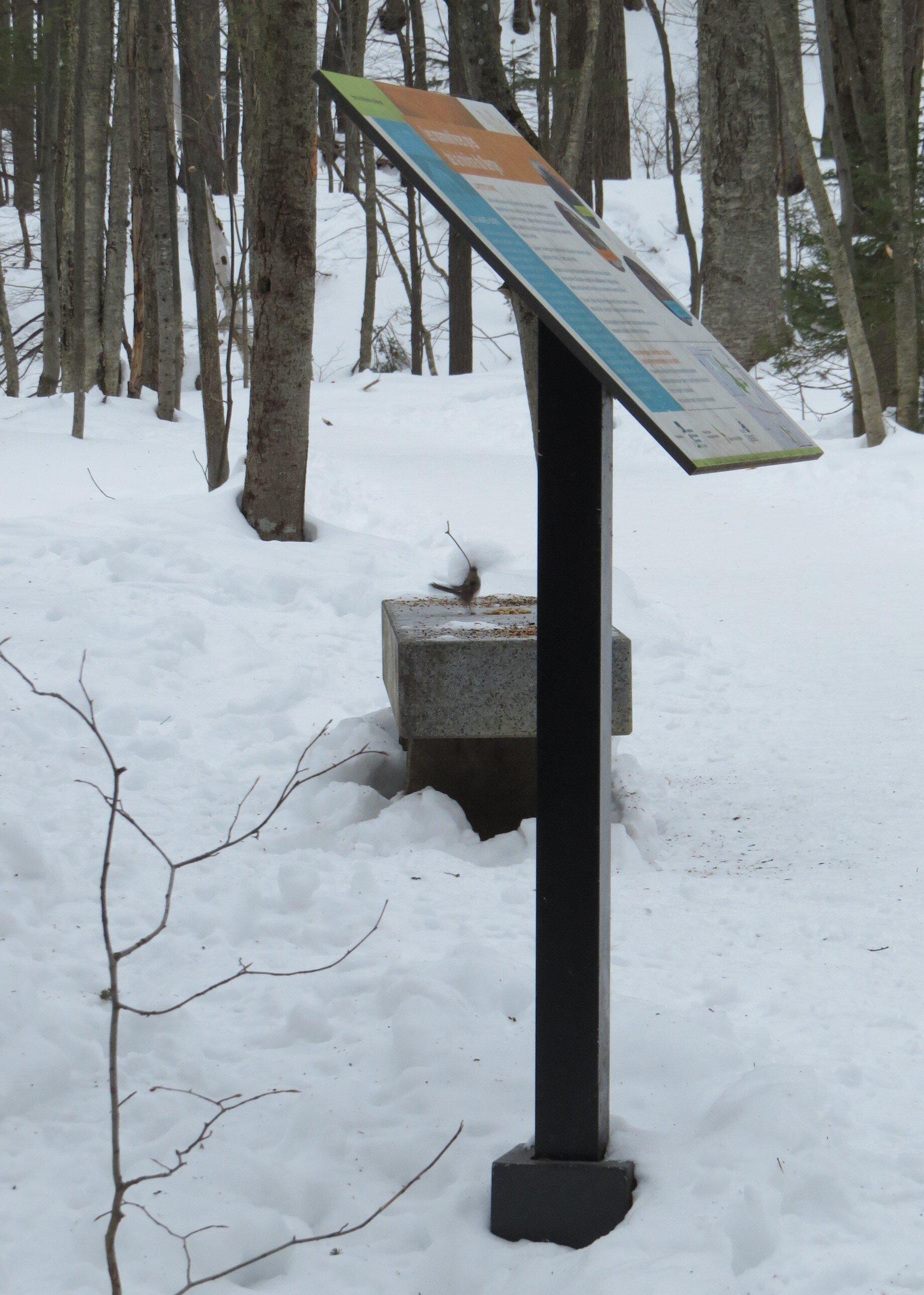 Photo by Michel_Louise_2013