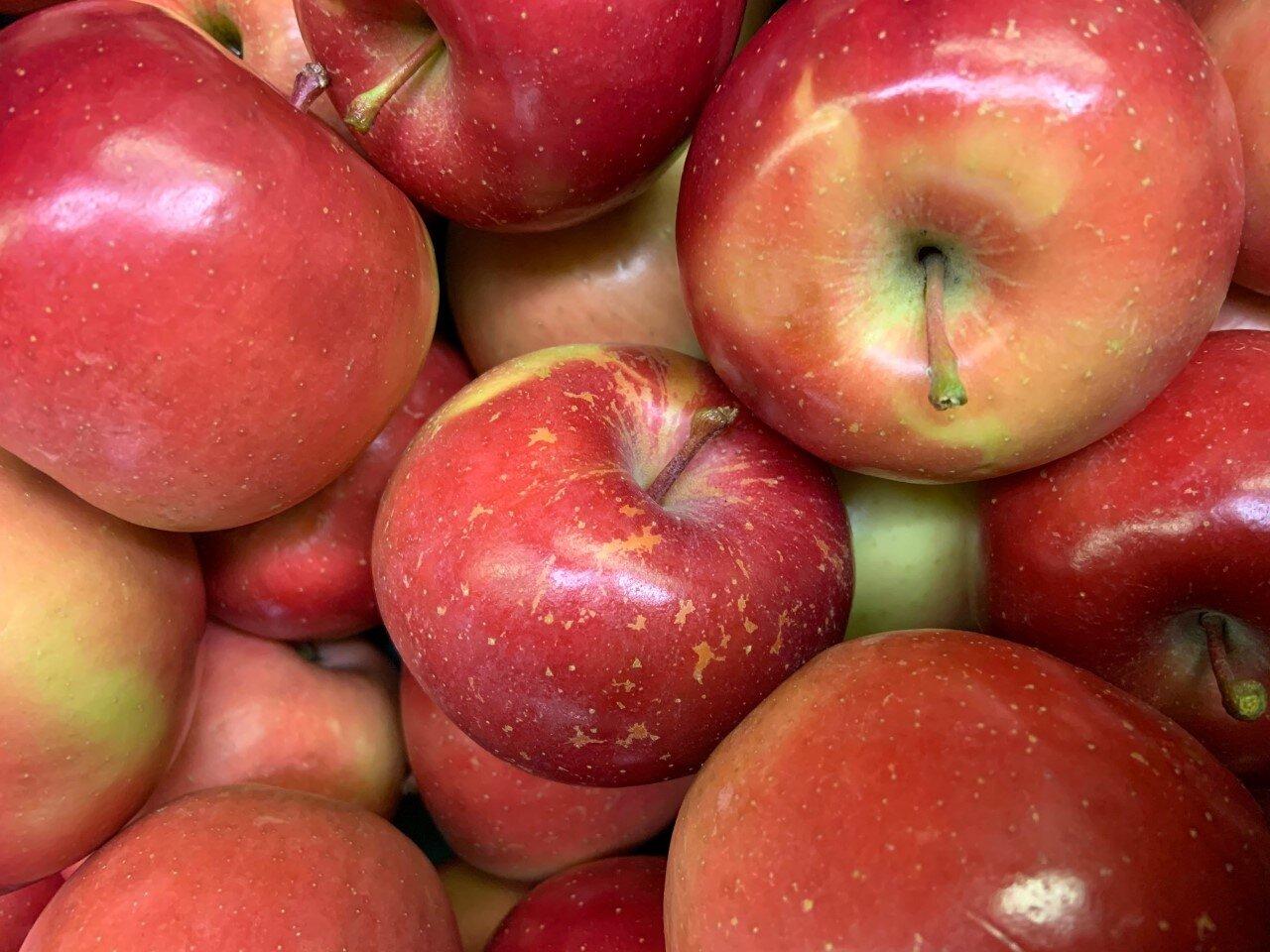 Sage's Apples