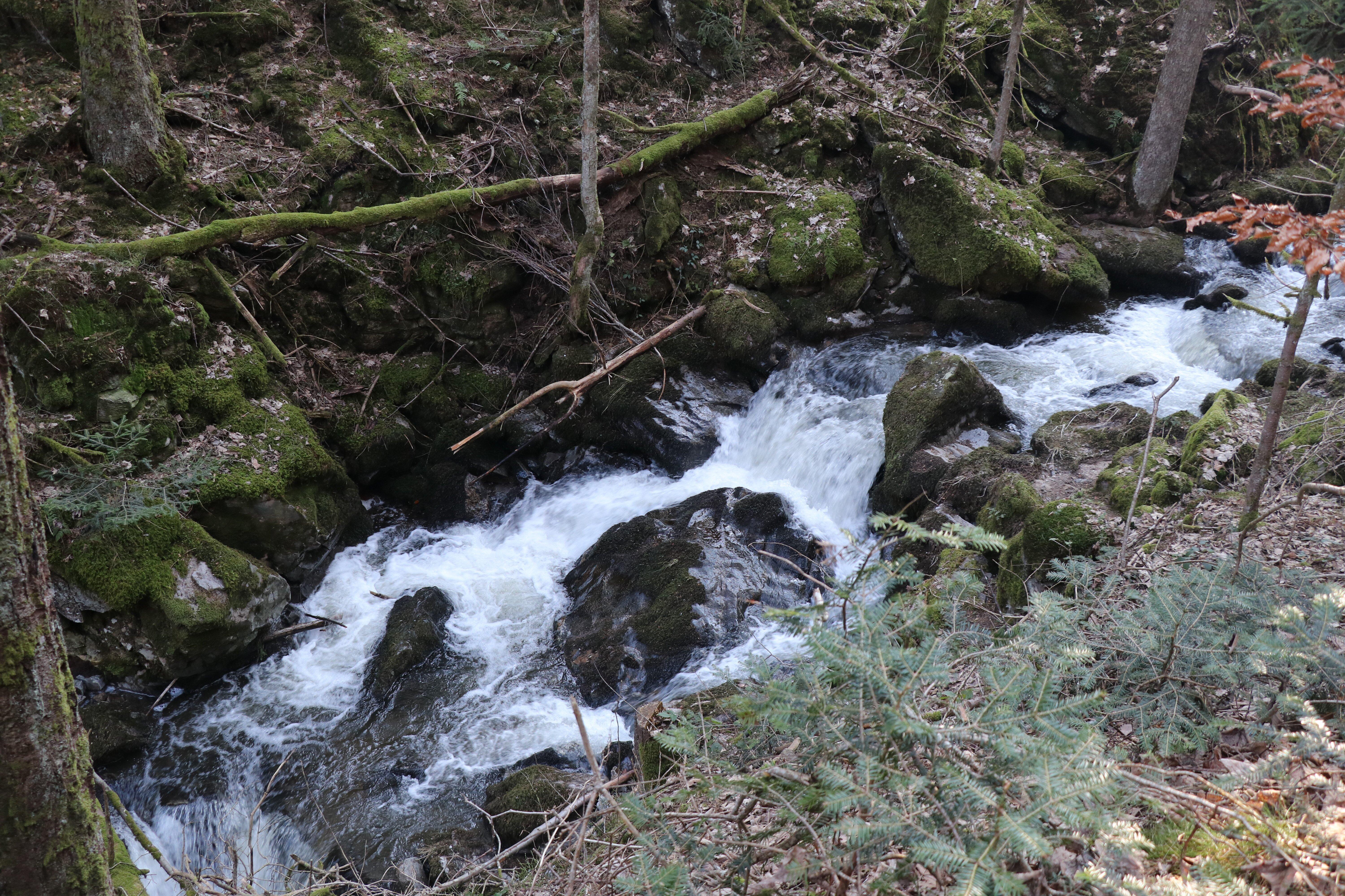 Strahlbrusch Fall