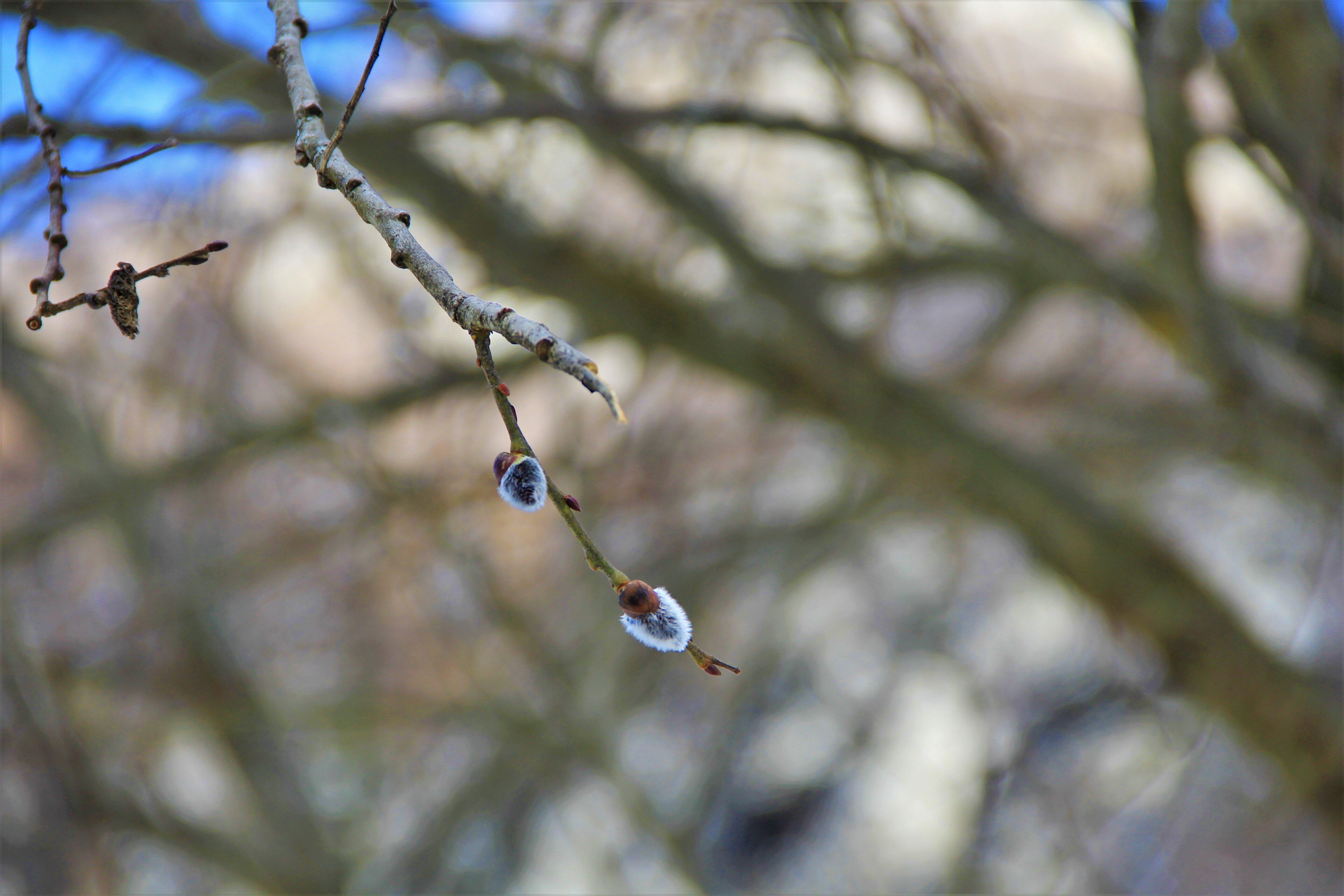 Info Point Valle Onsernone
