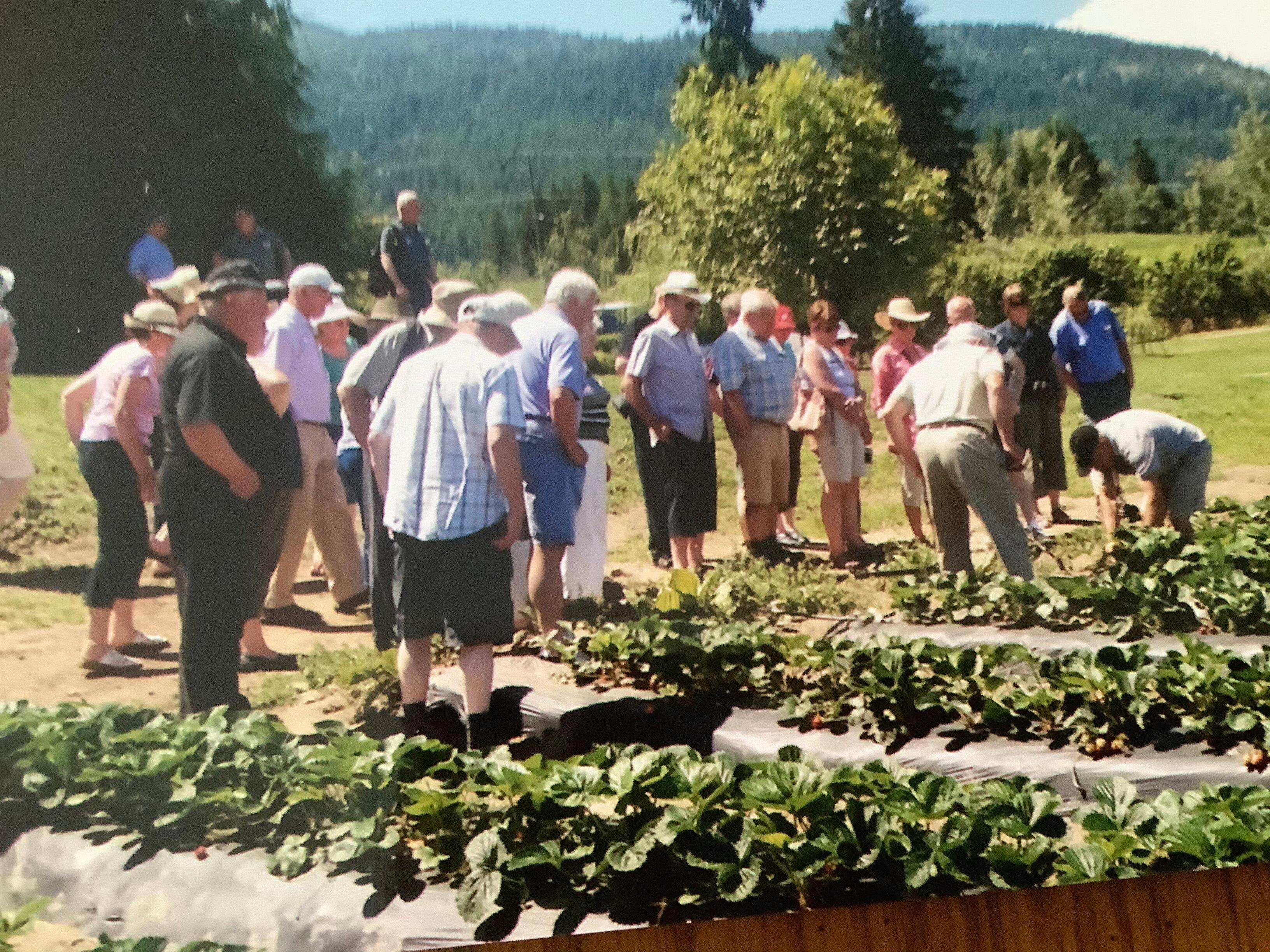 Sandy Acres Berry Farm