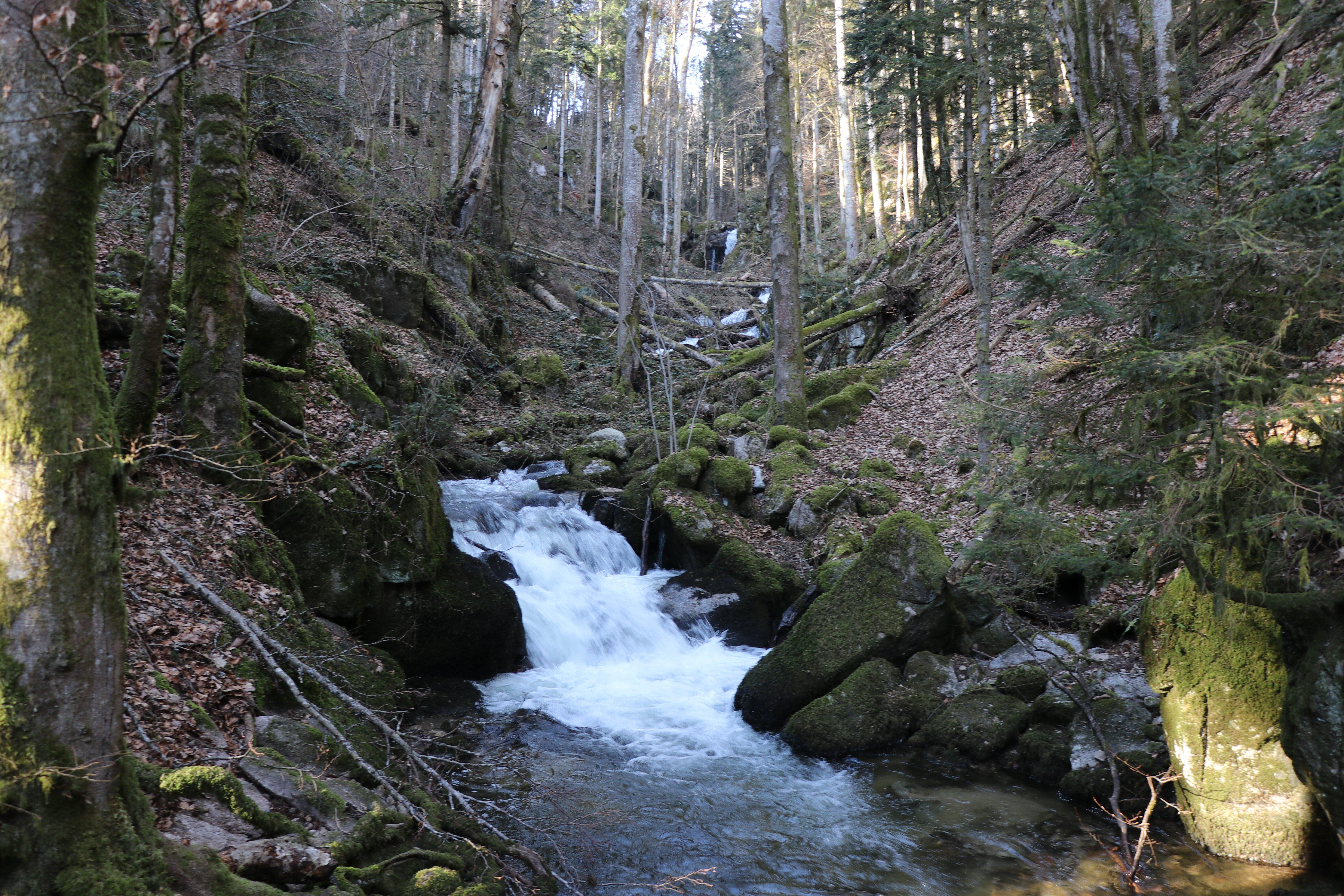 Hoellbach Falls