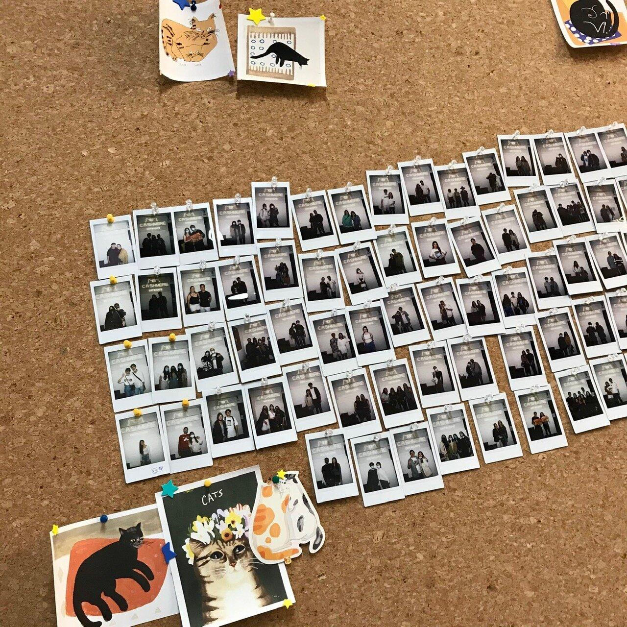 Photo by KstarMelbourne