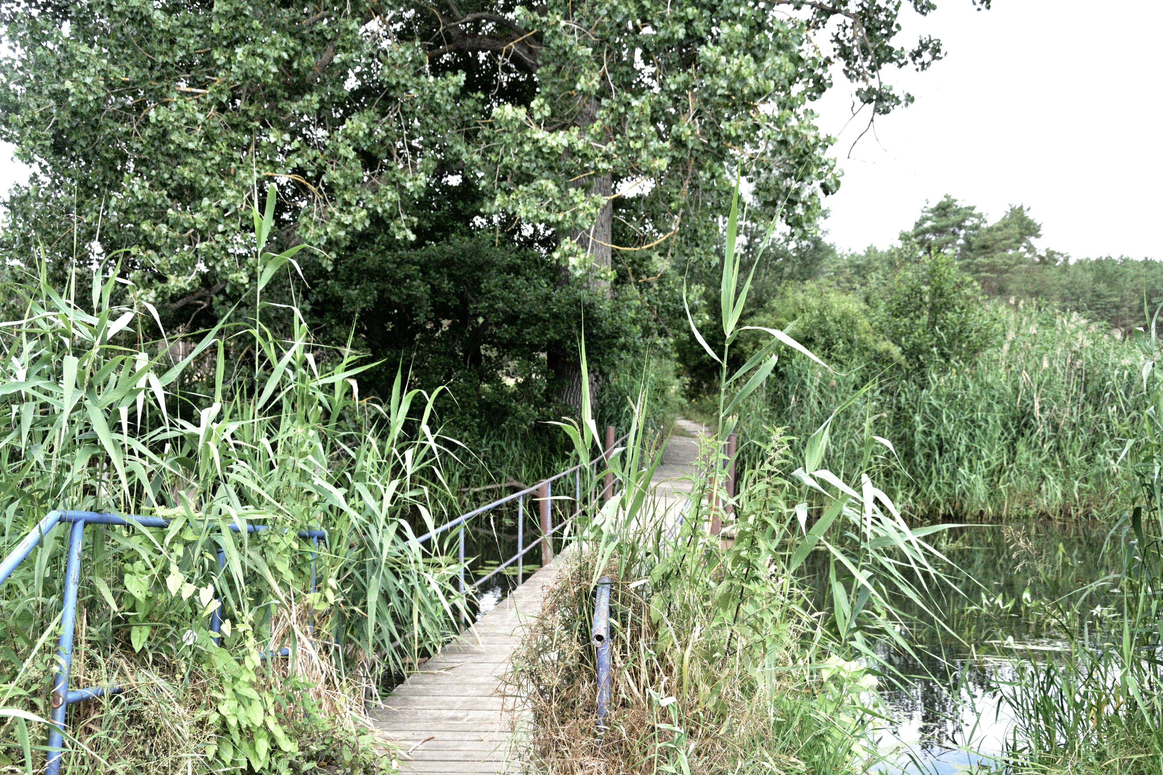 Besucherzentrum Des Naturparks Westhavelland Milow