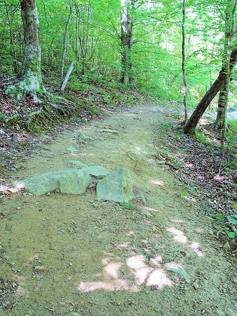 Rhododendron Bluff Circuit