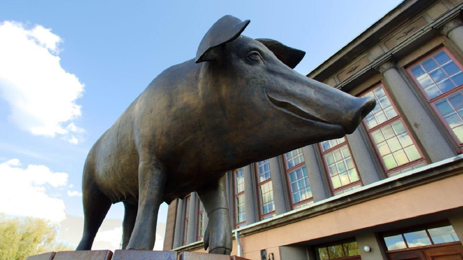 Sculpture Bronze Pig