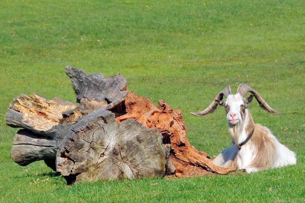 St. Natuur Milieu Educatief Centrum