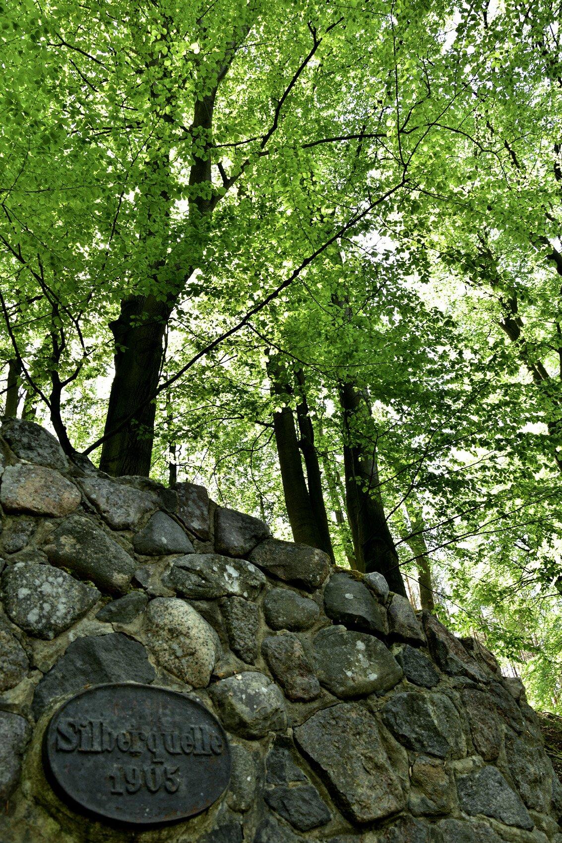 Silberquelle Im Gränert