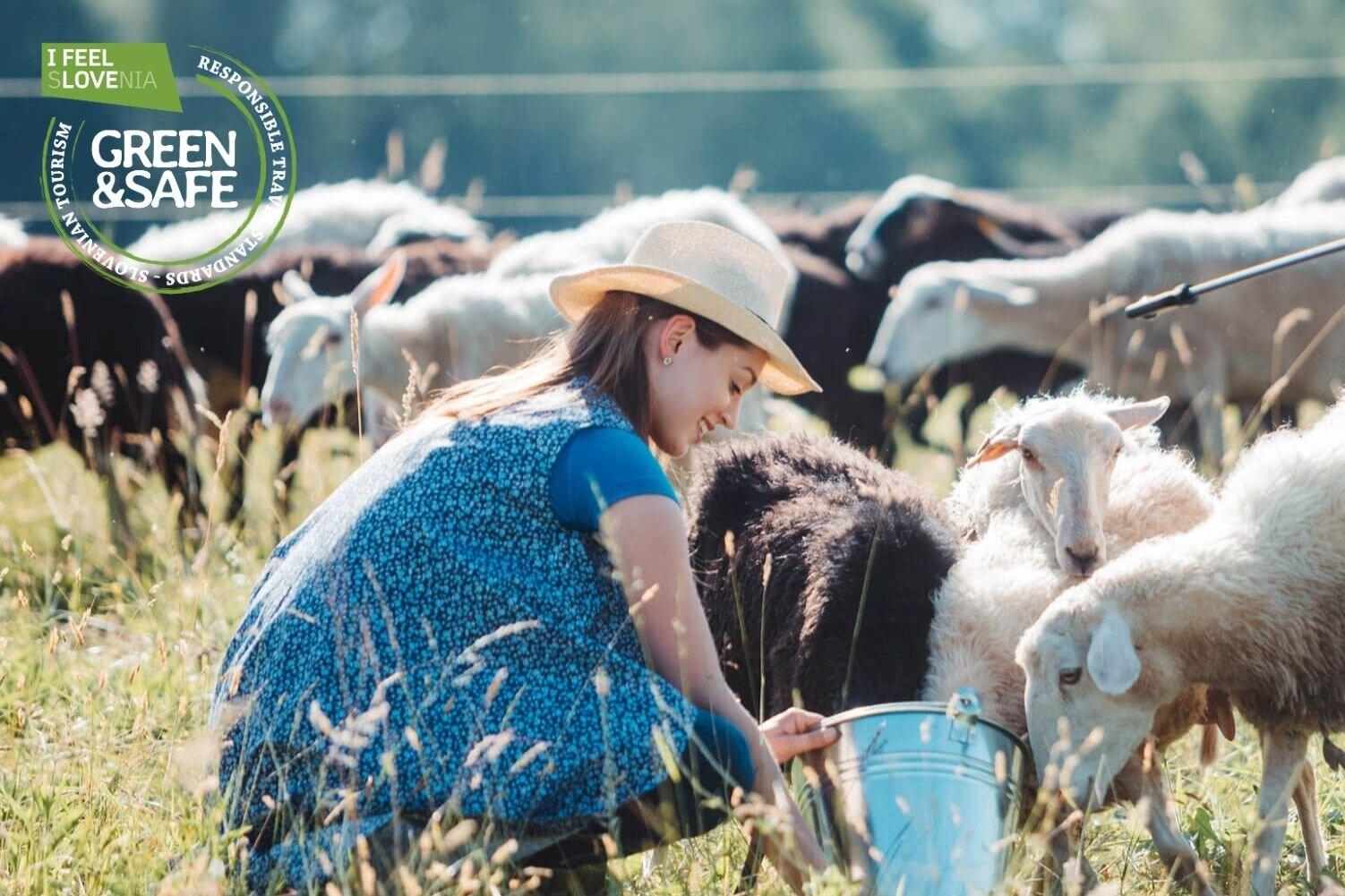 Bravina Experience Agency