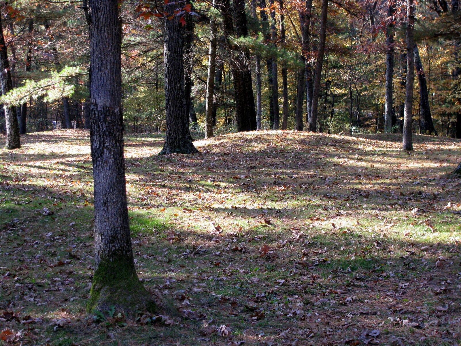 Photo by AndrewFromMadison