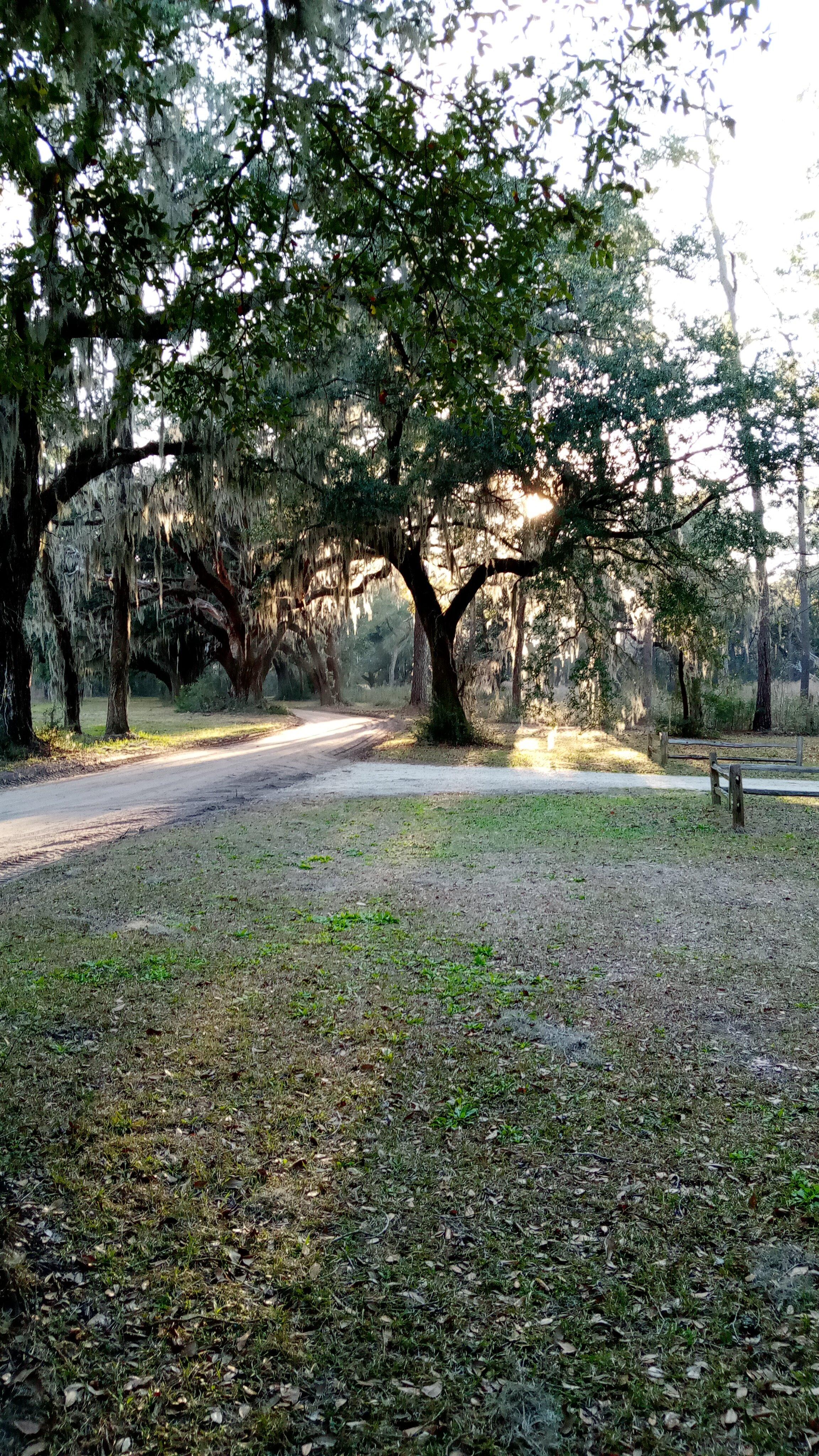 Photo by Camper_joe69